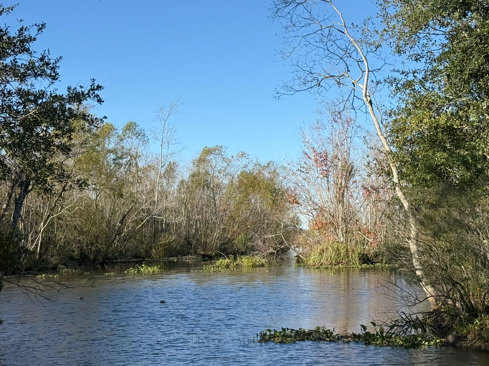 Huntridge, Las Vegas — Une rivière avec des arbres et de l'eau au premier plan