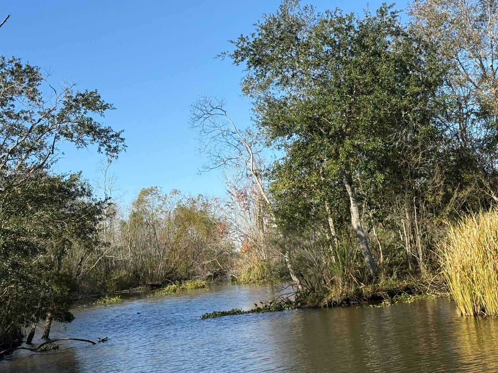 Huntridge, Las Vegas — Une rivière avec des arbres et de l'eau en arrière-plan