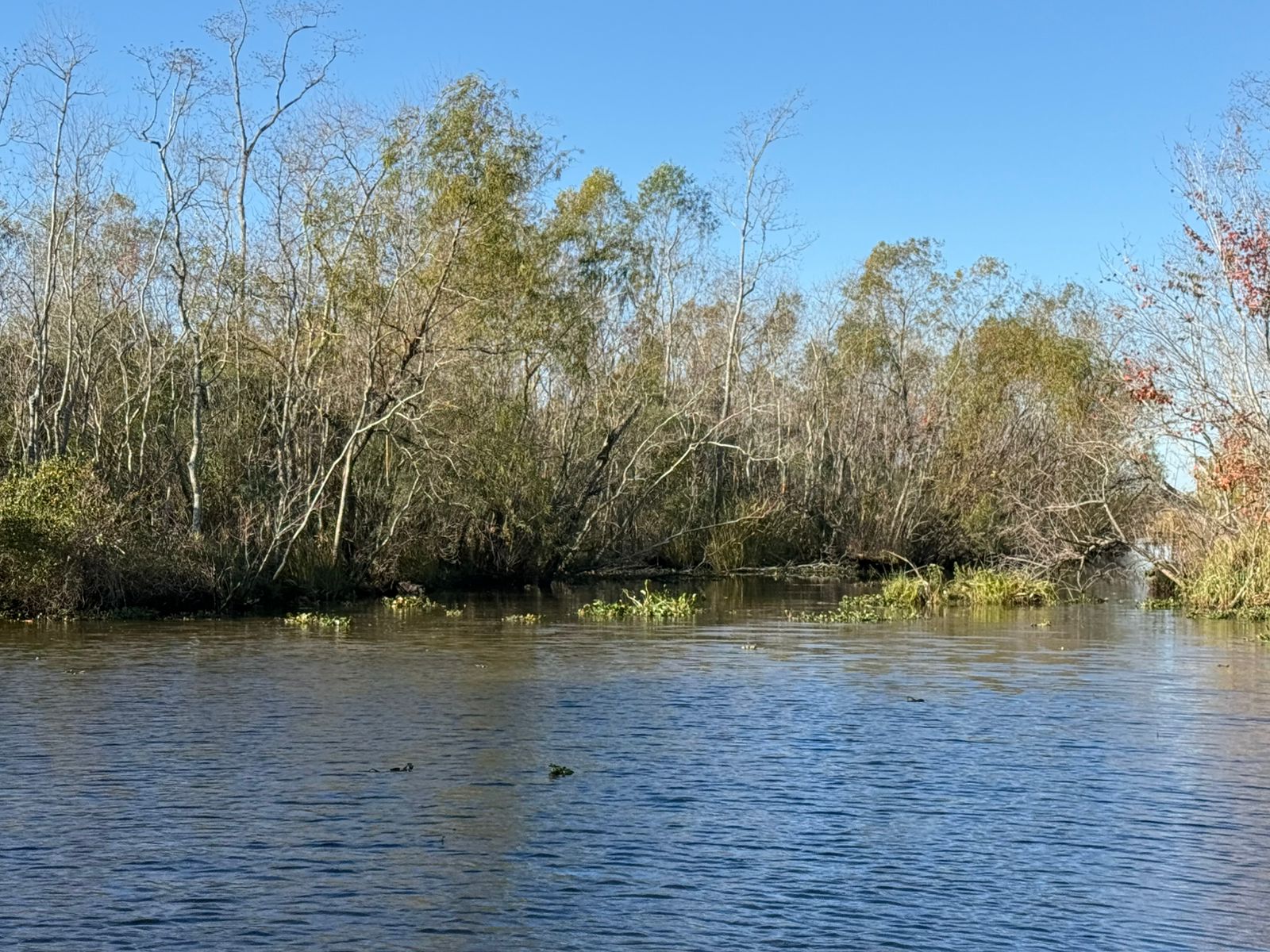 Huntridge, Las Vegas — Une rivière avec des arbres et des buissons en arrière-plan