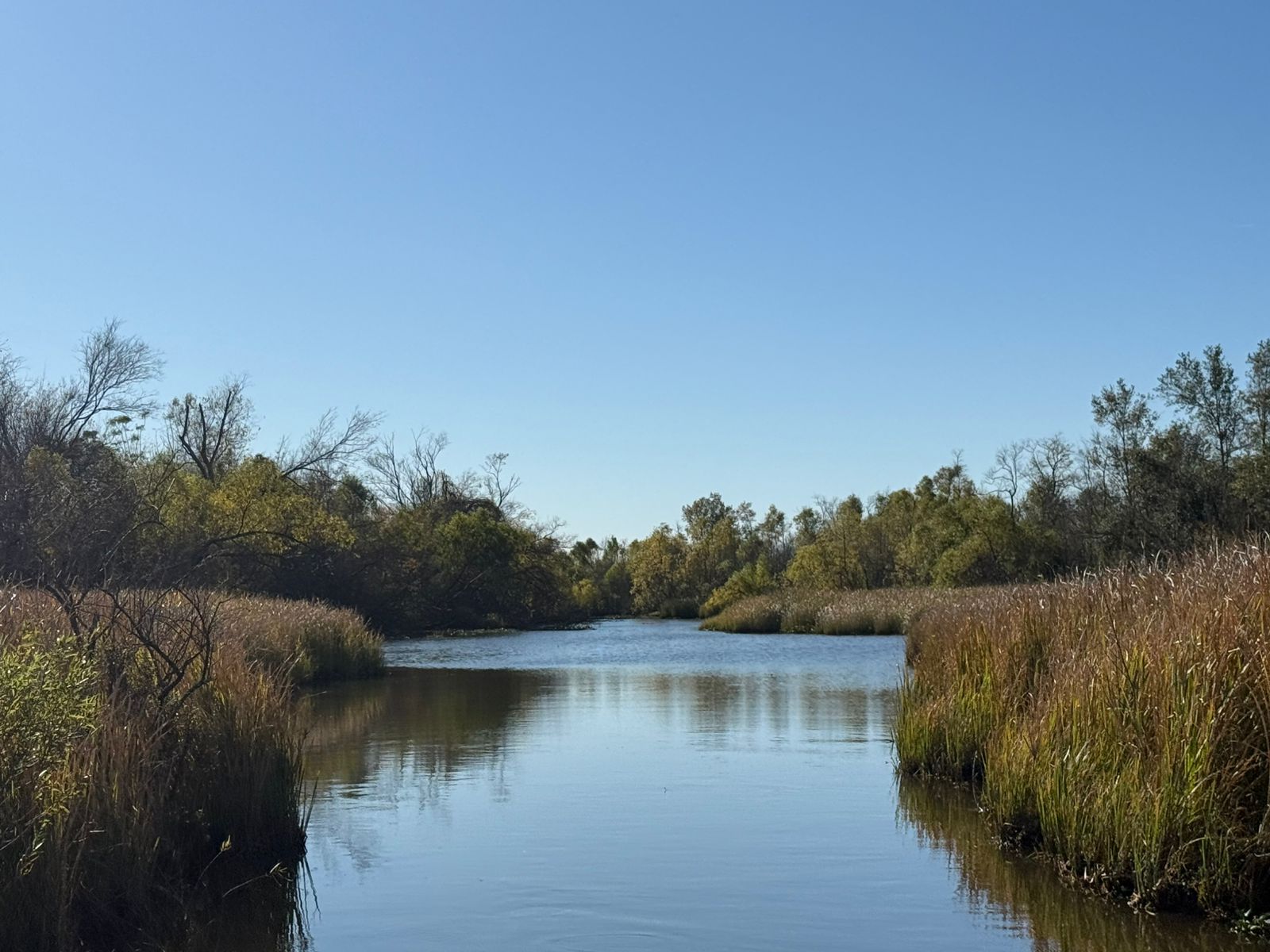 Huntridge, Las Vegas — Une étendue d'eau entourée d'arbres et de buissons