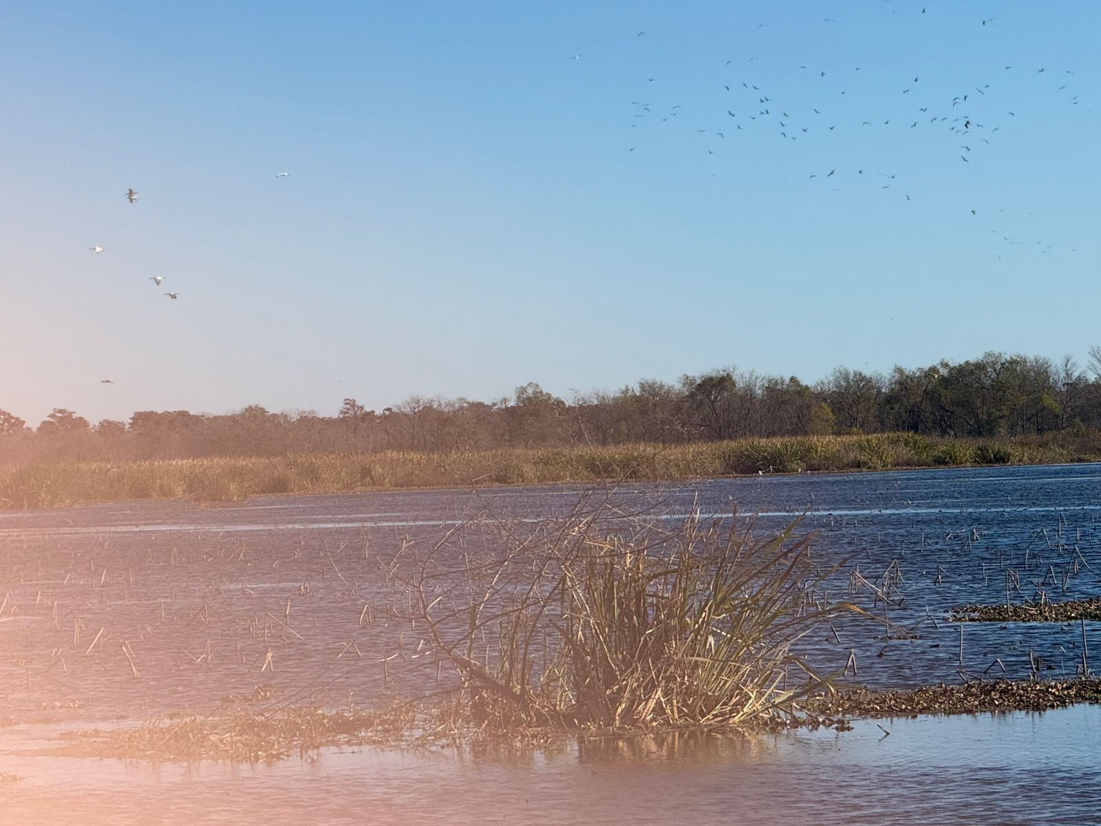 Huntridge, Las Vegas — Une étendue d'eau avec des oiseaux volant dans le ciel