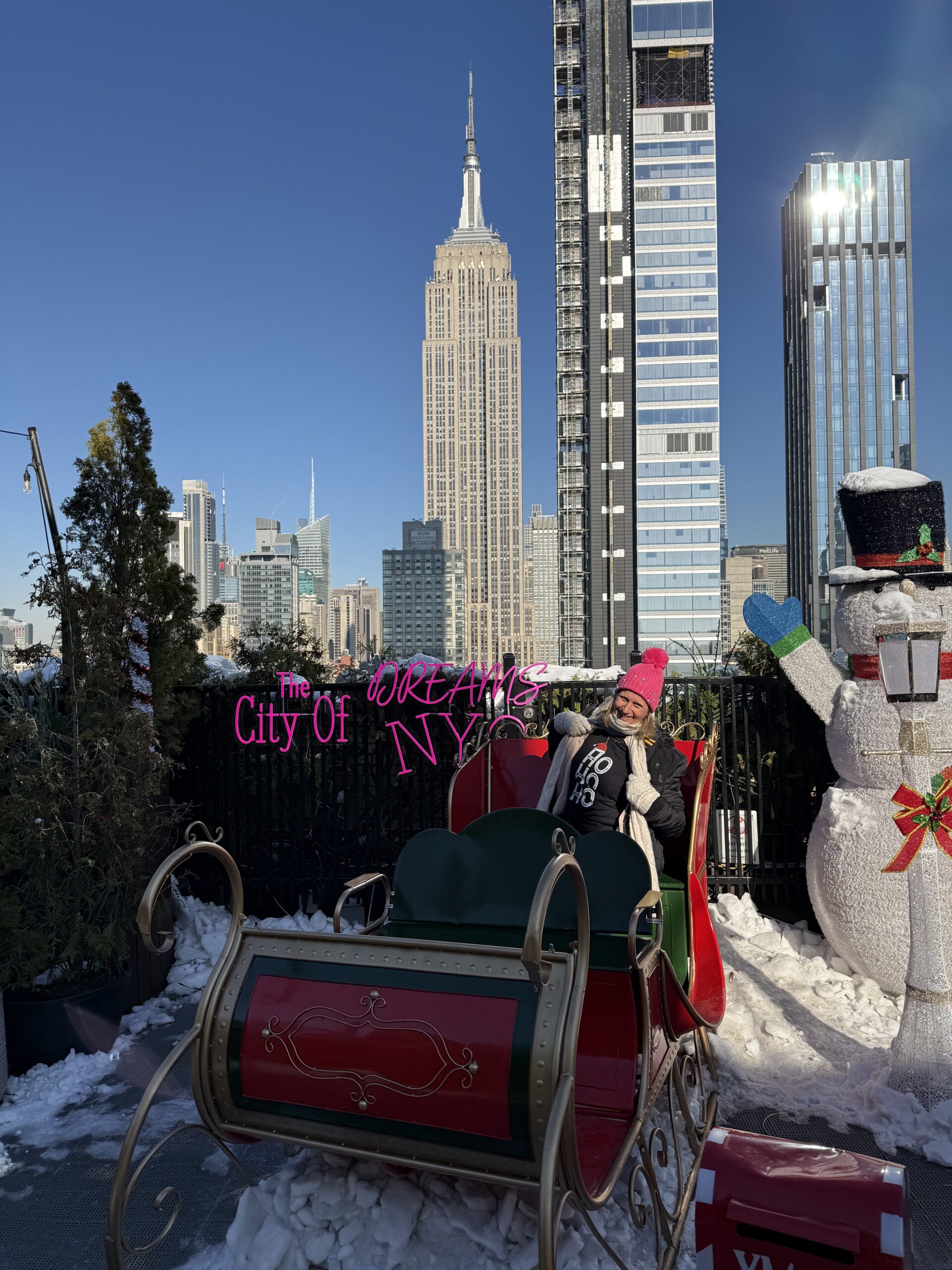 Brooklyn, New York — a sler with a snowman on it