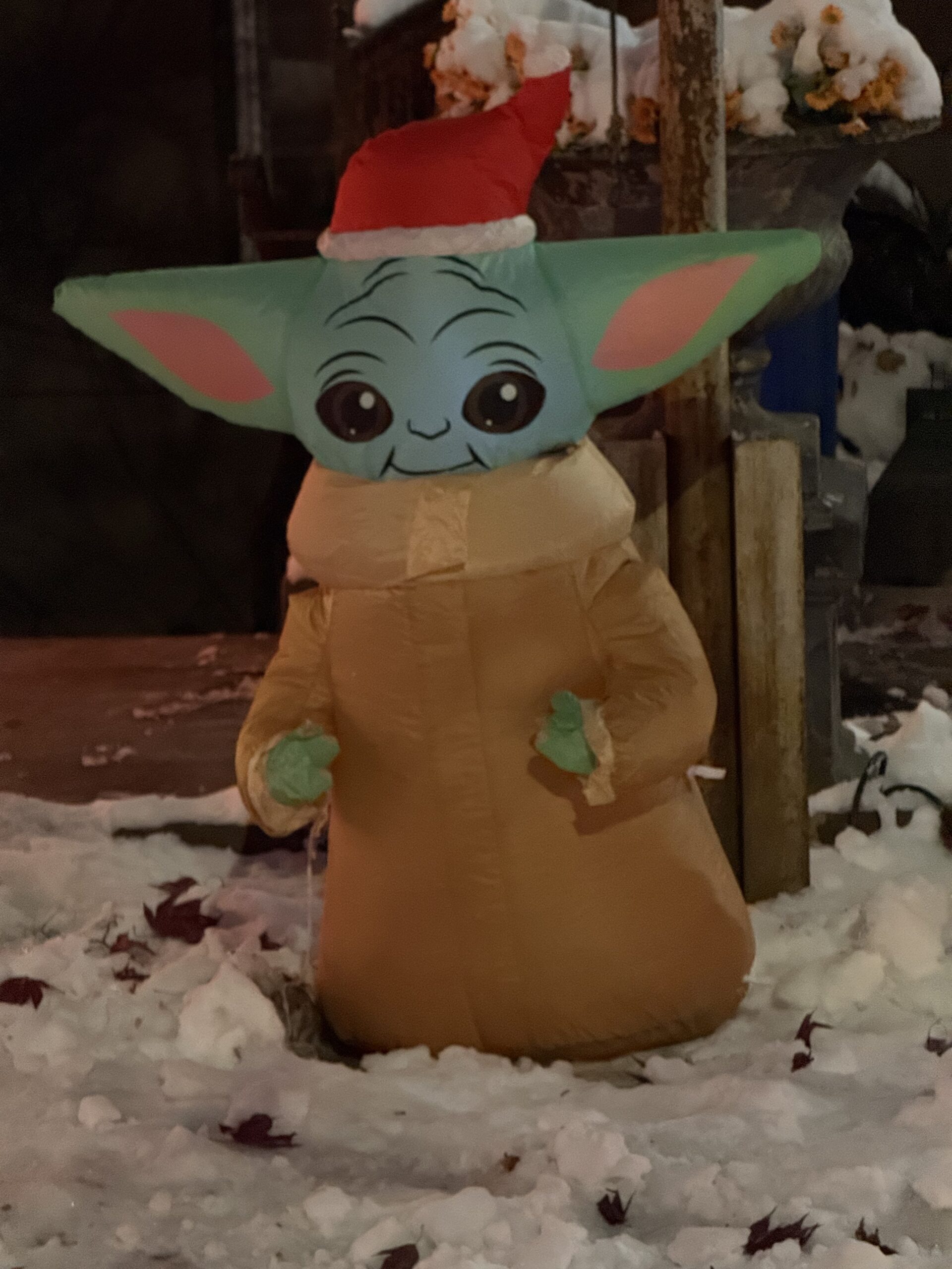 Brooklyn, New York — a baby yoo in a costume standing in the snow