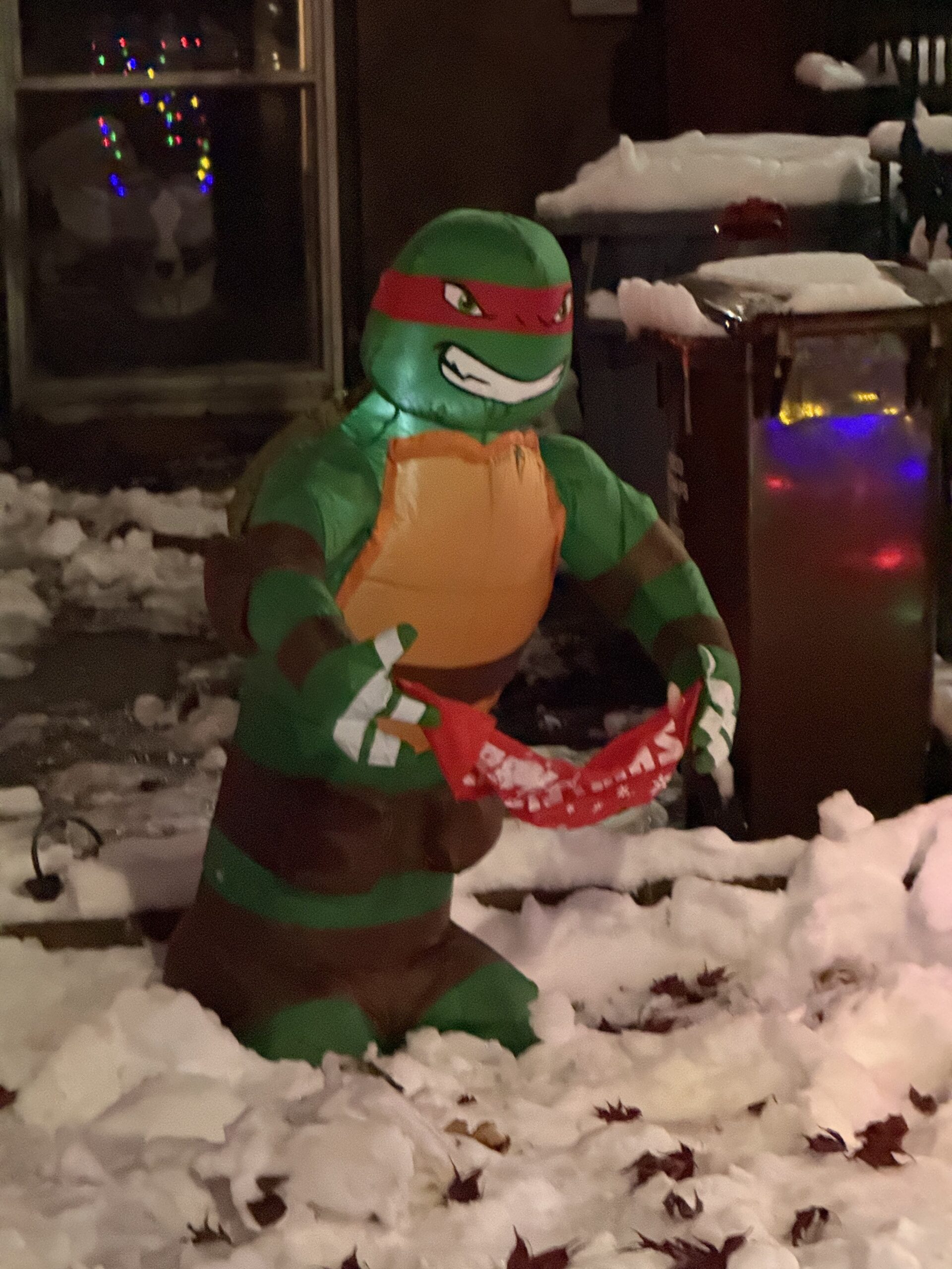 Brooklyn, New York — a toy is in the snow with a toy