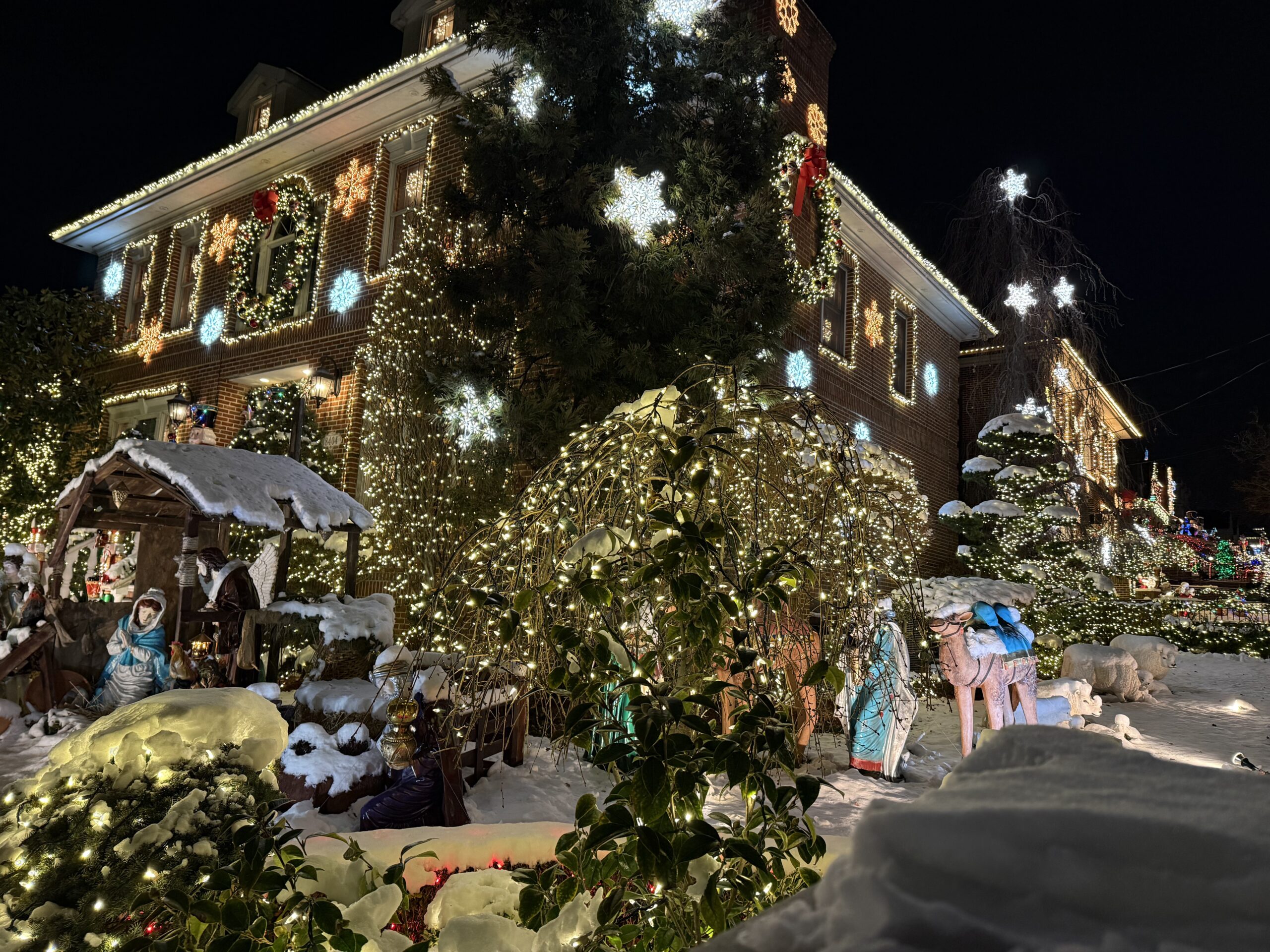 Brooklyn, New York — a large christmas tree