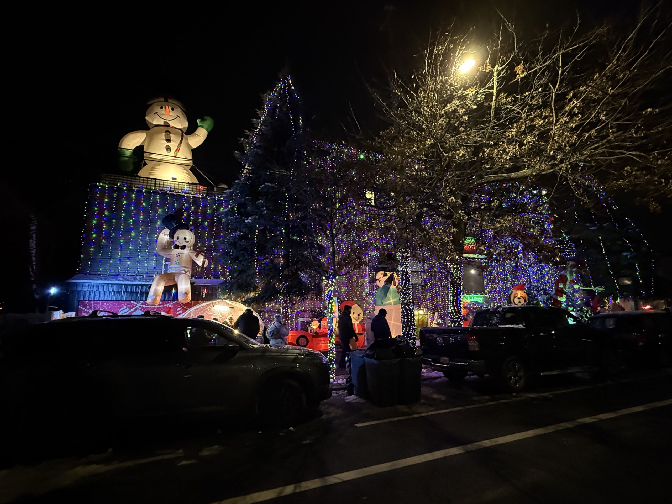 Brooklyn, New York — a large tree with lights