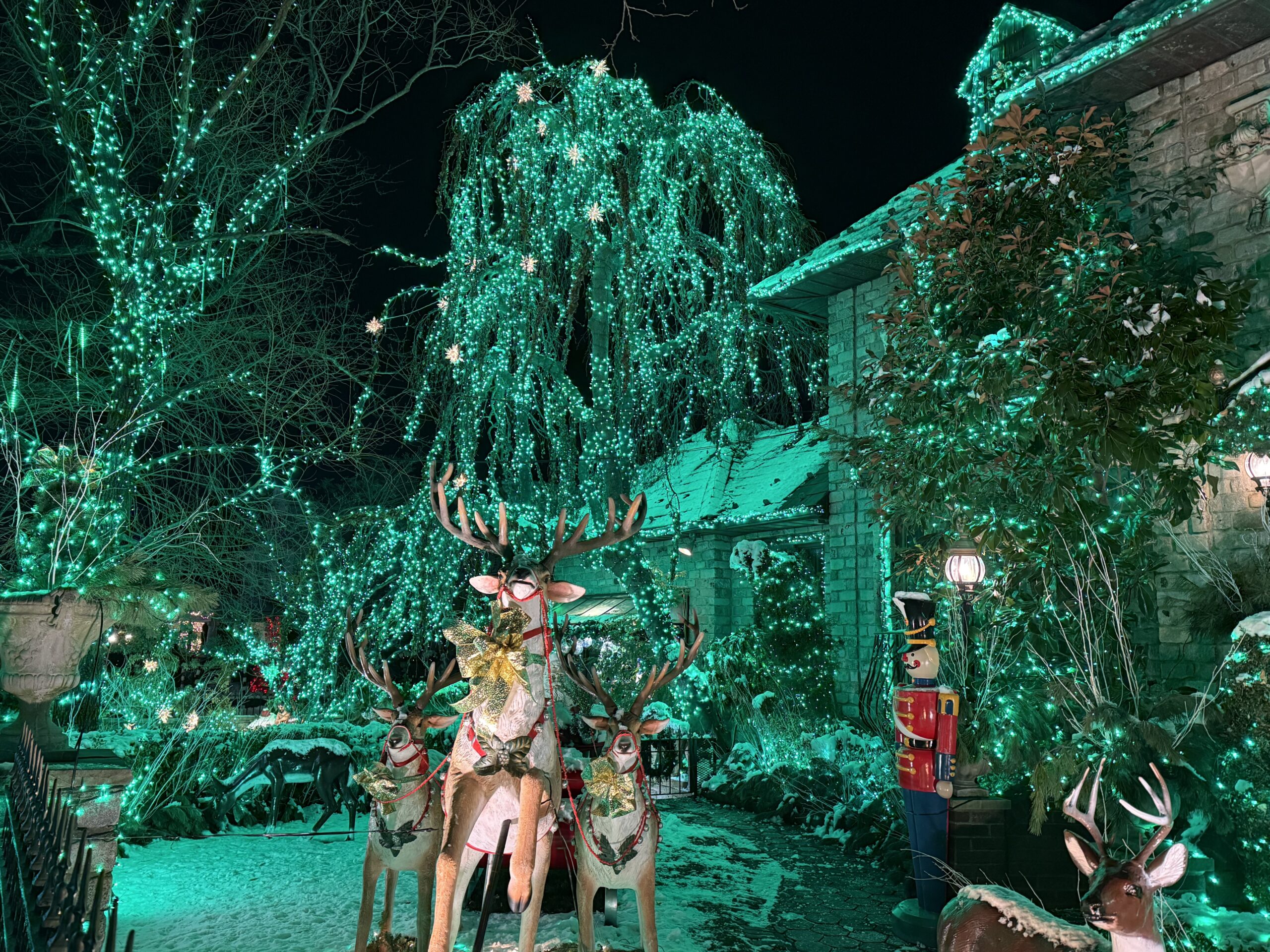 Brooklyn, New York — a couple of deers are standing in a yard