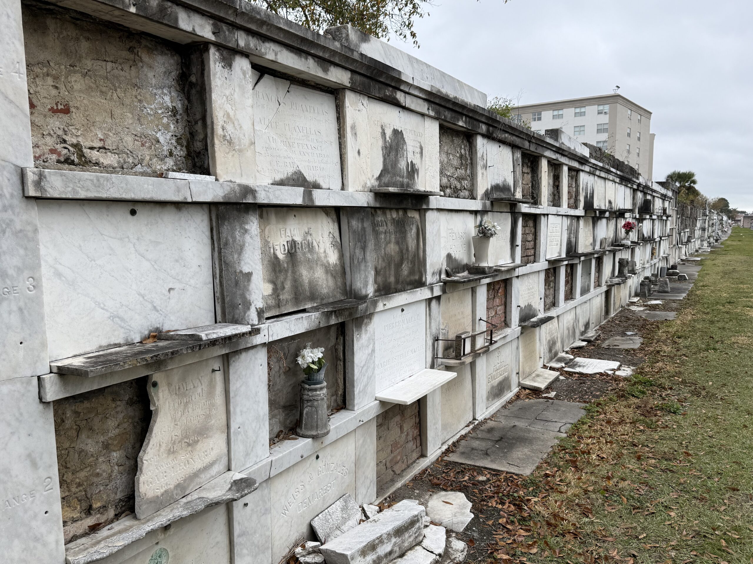 Faubourg St. Jean, La Nouvelle-Orléans — Une rangée de blocs de béton avec un arbre qui pousse au milieu