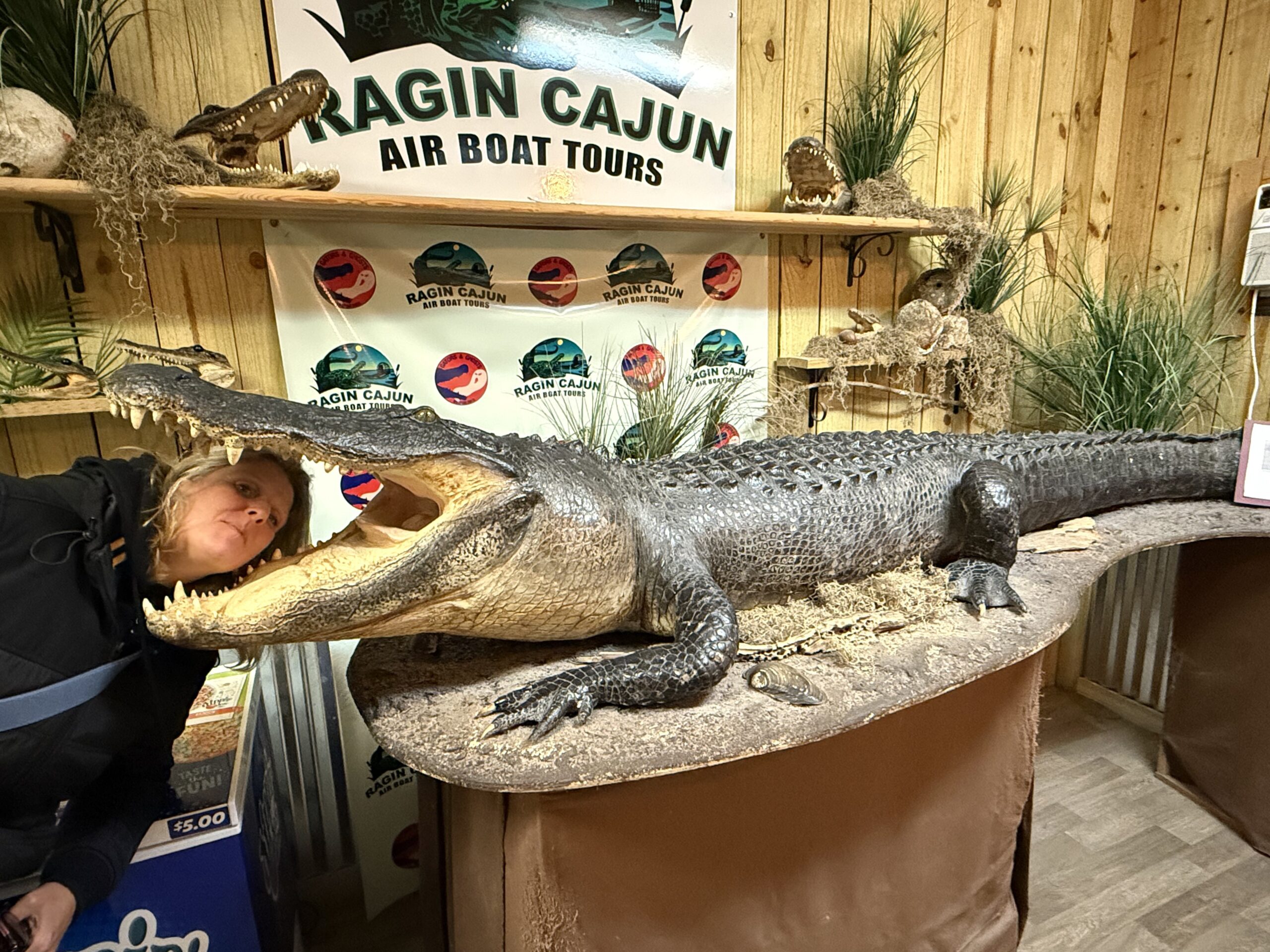 Lousiane — une femme regarde un faux alligator