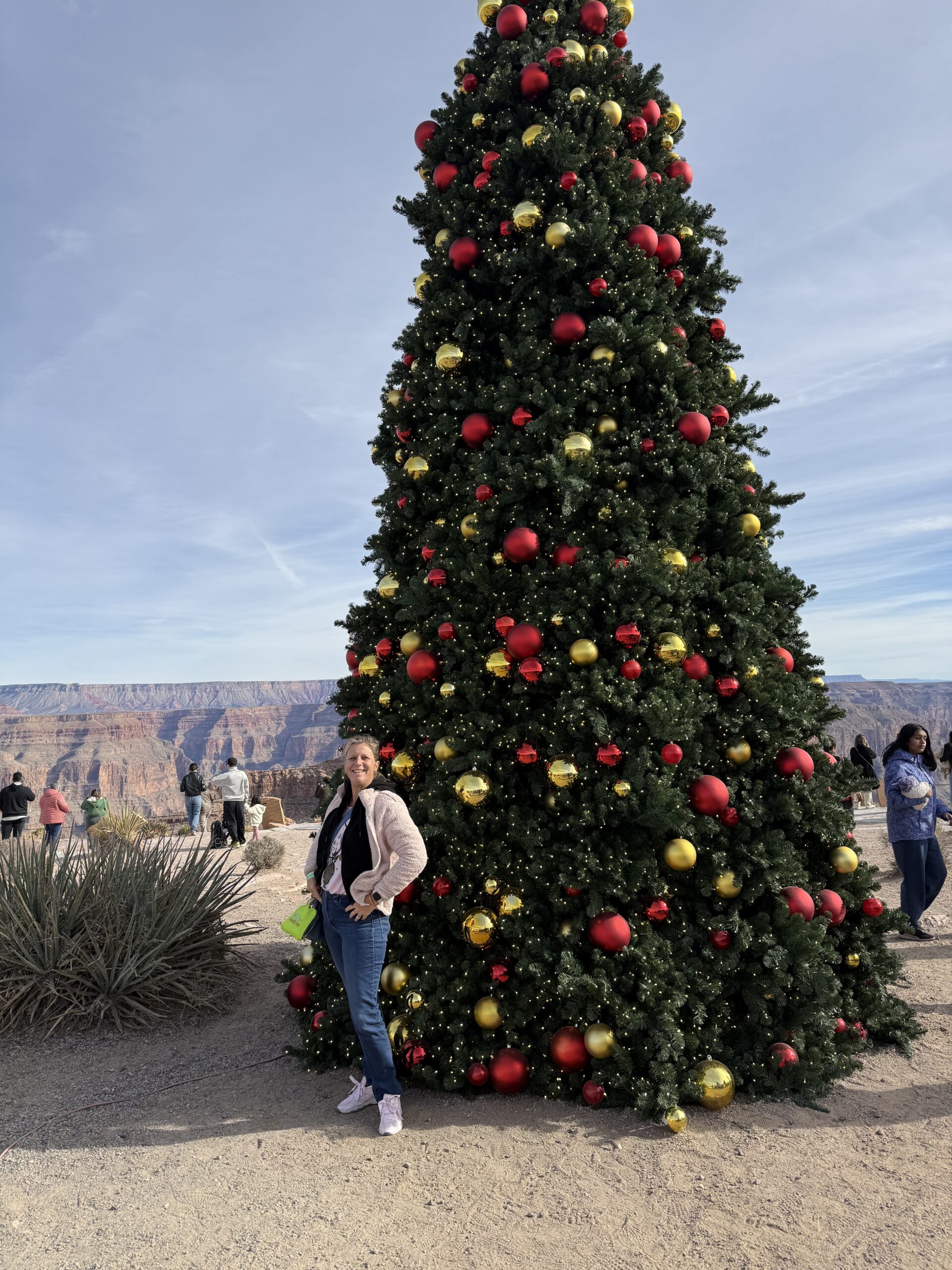 Arizona — une femme debout à côté d'un sapin de Noël