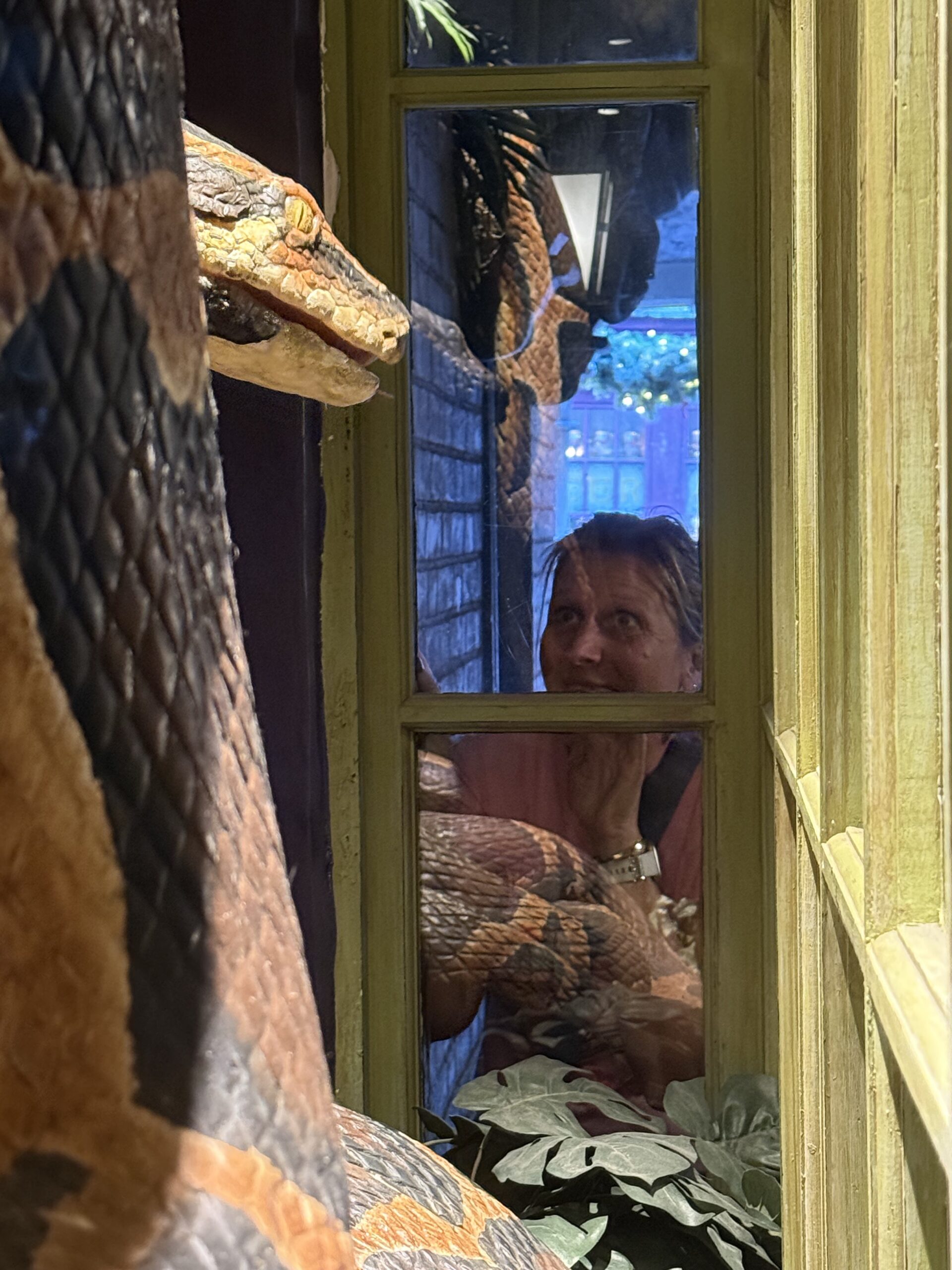 Orlando — une femme regarde un animal en peluche dans une vitrine