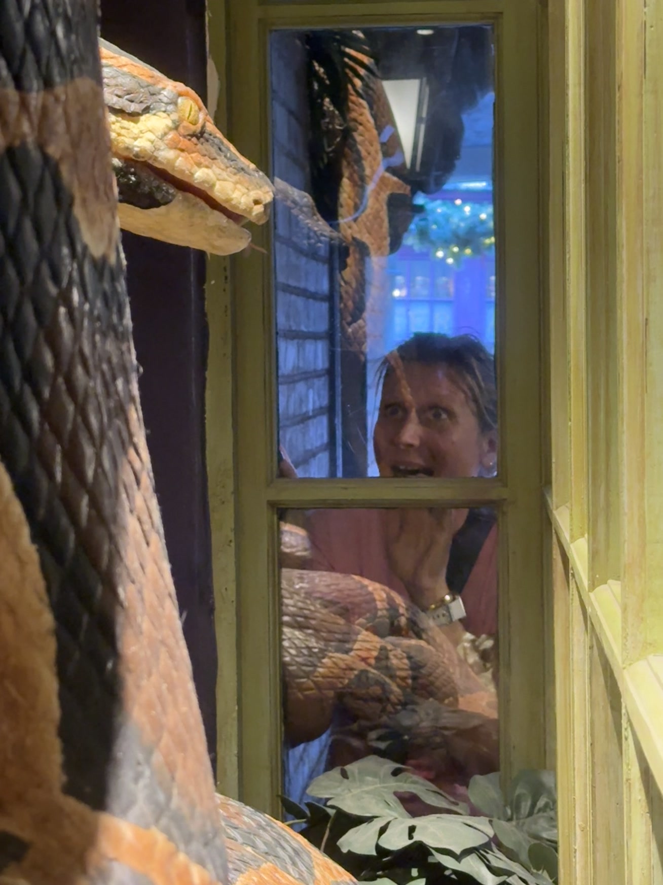 Orlando — un homme regarde un oiseau factice dans une vitrine