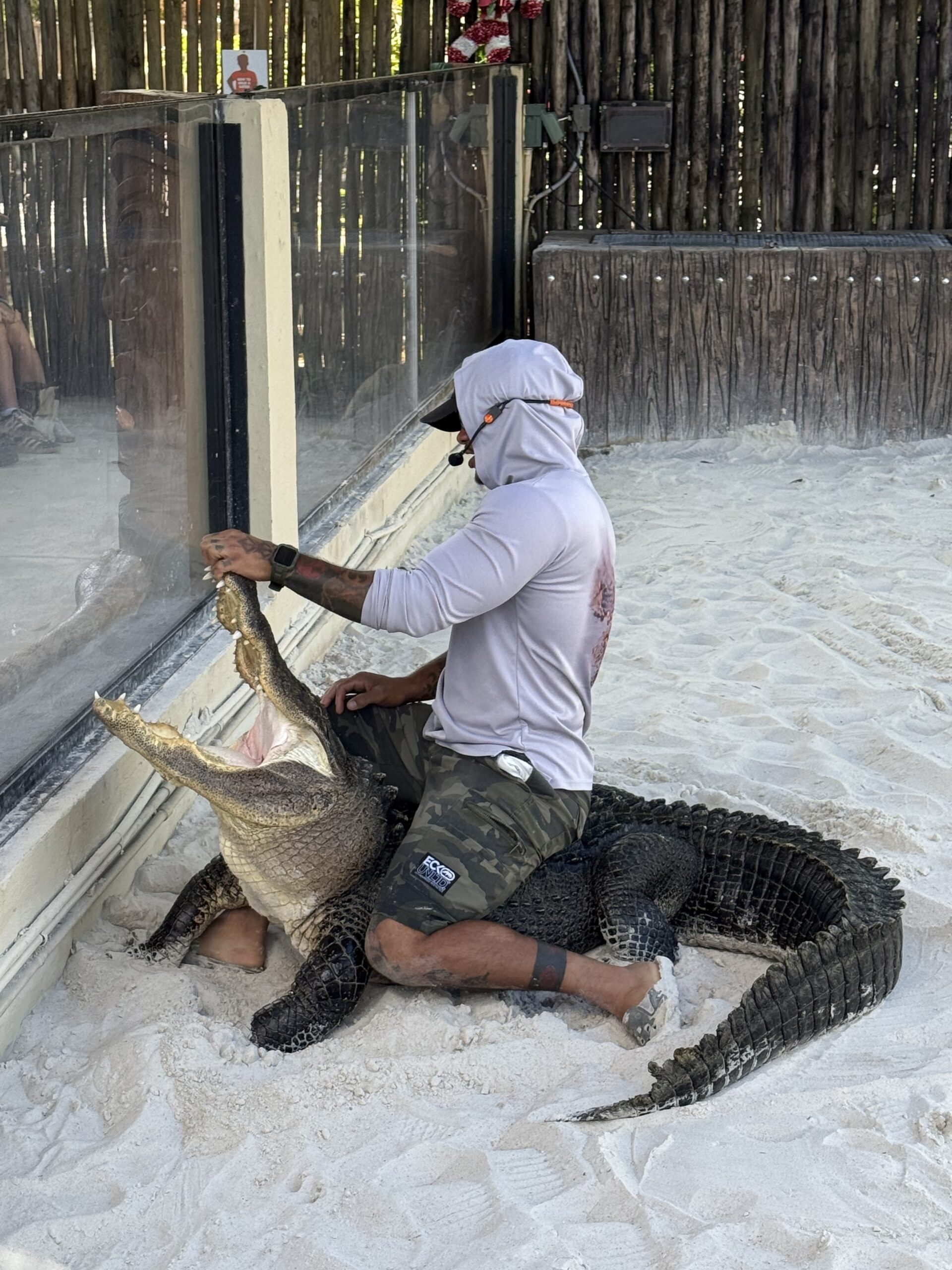 Miami — un homme assis sur le sable avec un crocodile