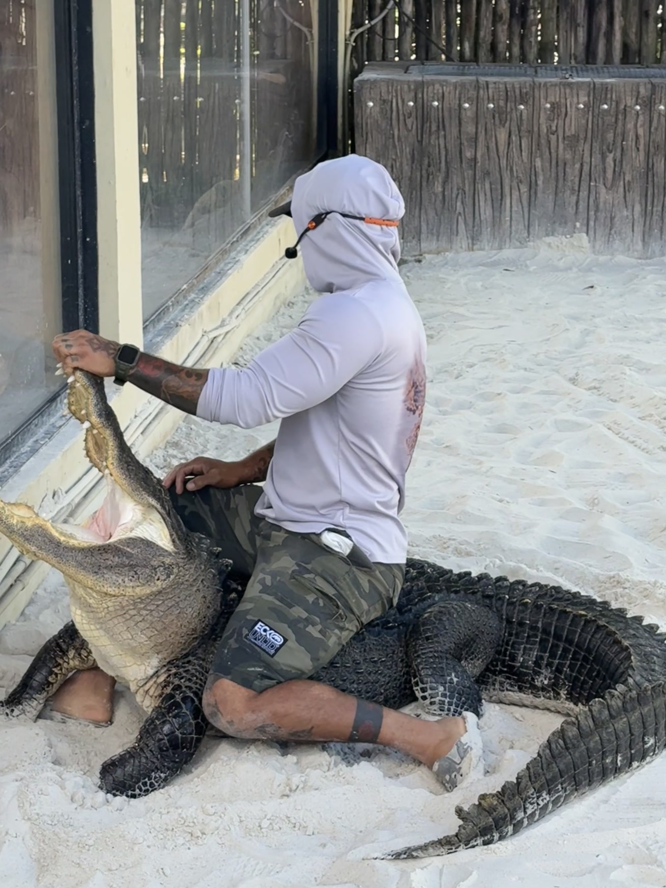 Miami — un homme en sweat à capuche blanc tient un grand alligator