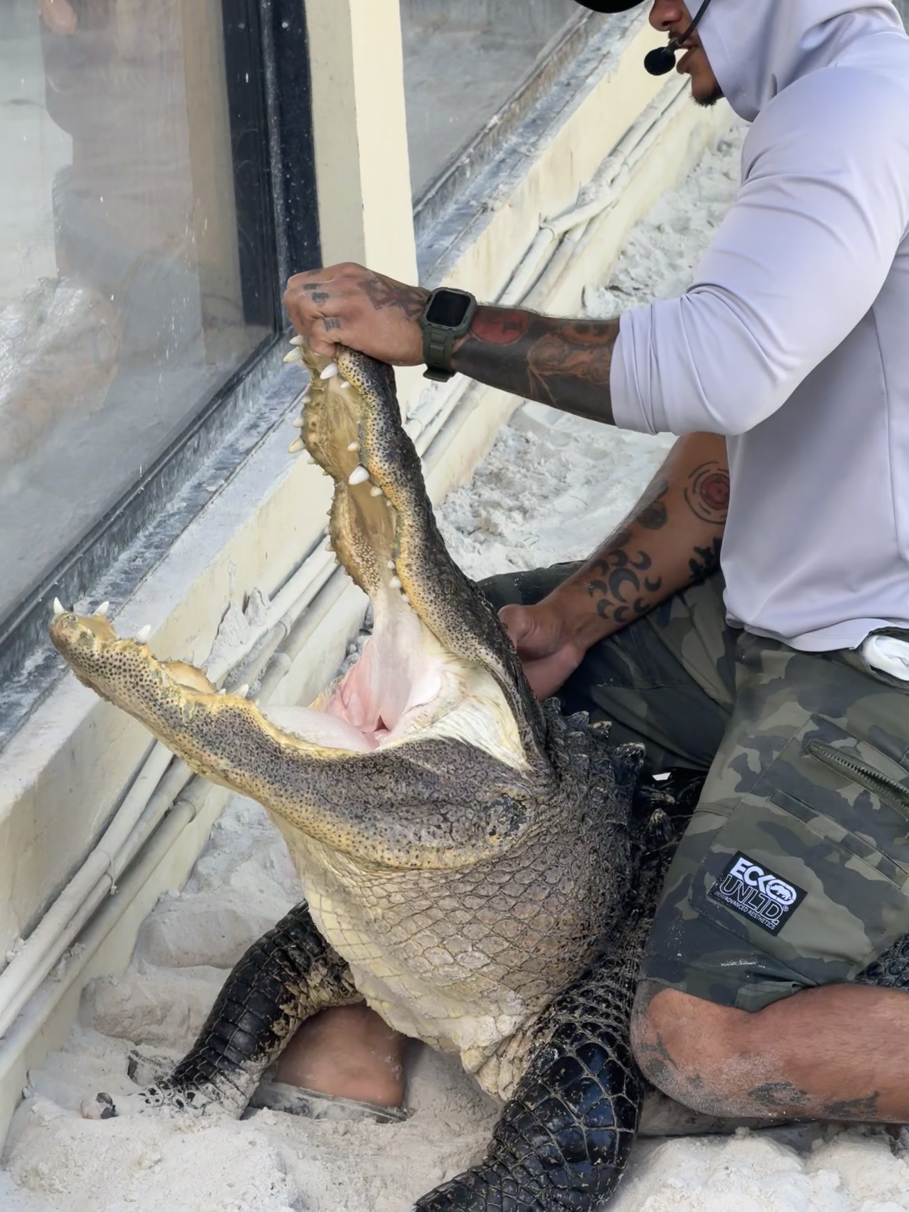 Miami — un homme tenant un grand alligator dans ses mains