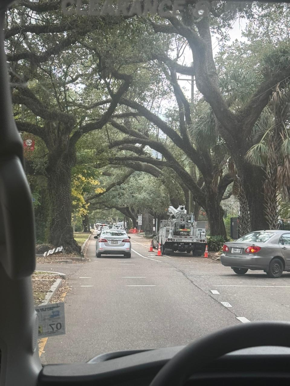 La Nouvelle-Orléans — une voiture descendant une rue avec un grand arbre
