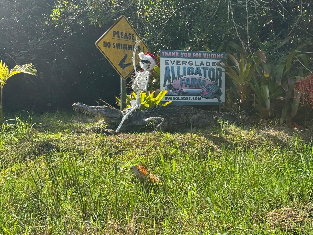 Miami — un panneau qui dit 'non à l'alligator toujours capable'