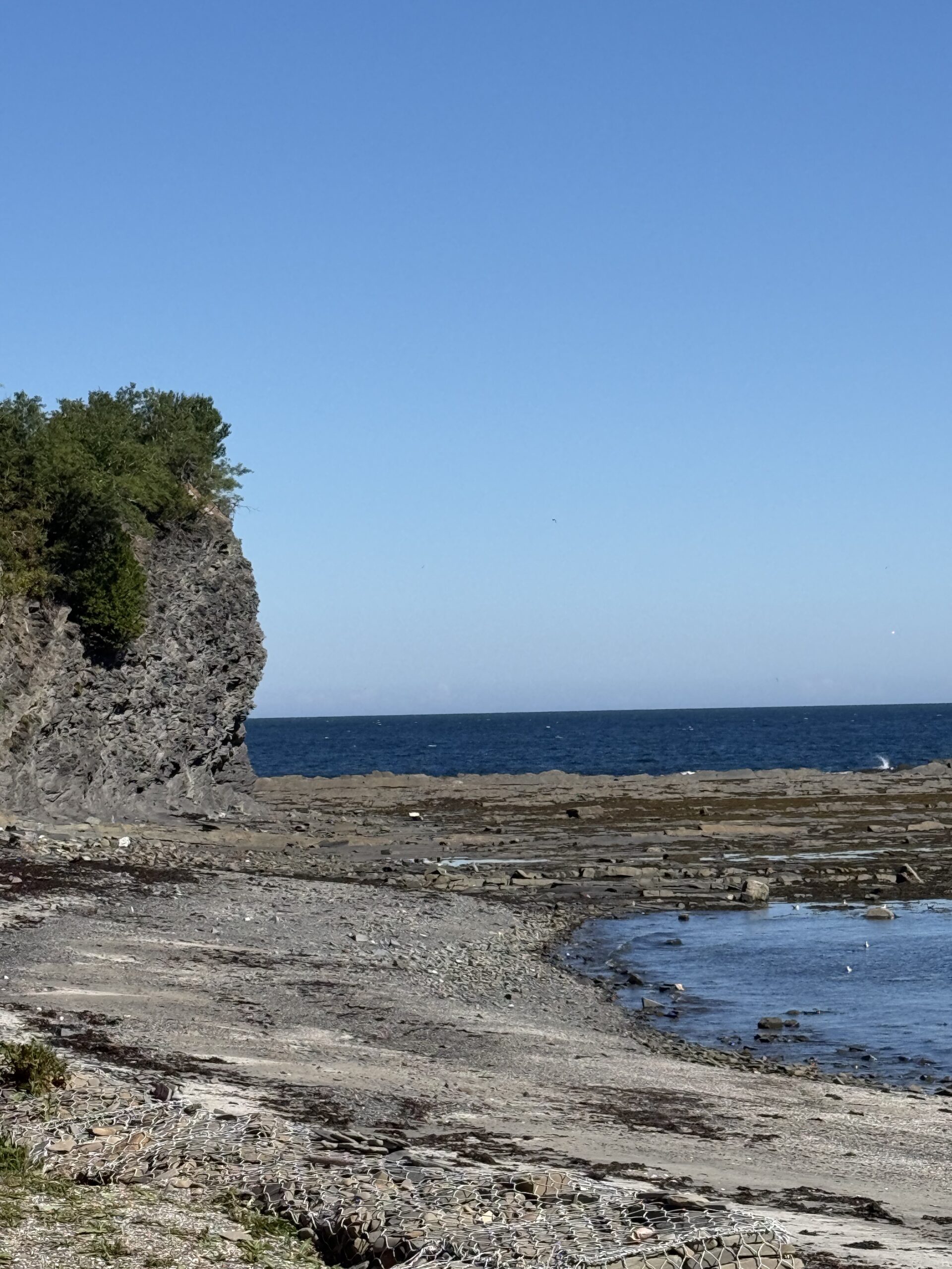 a rocky beach with a small tree on the shore, Cloridorme, Québec, Canada