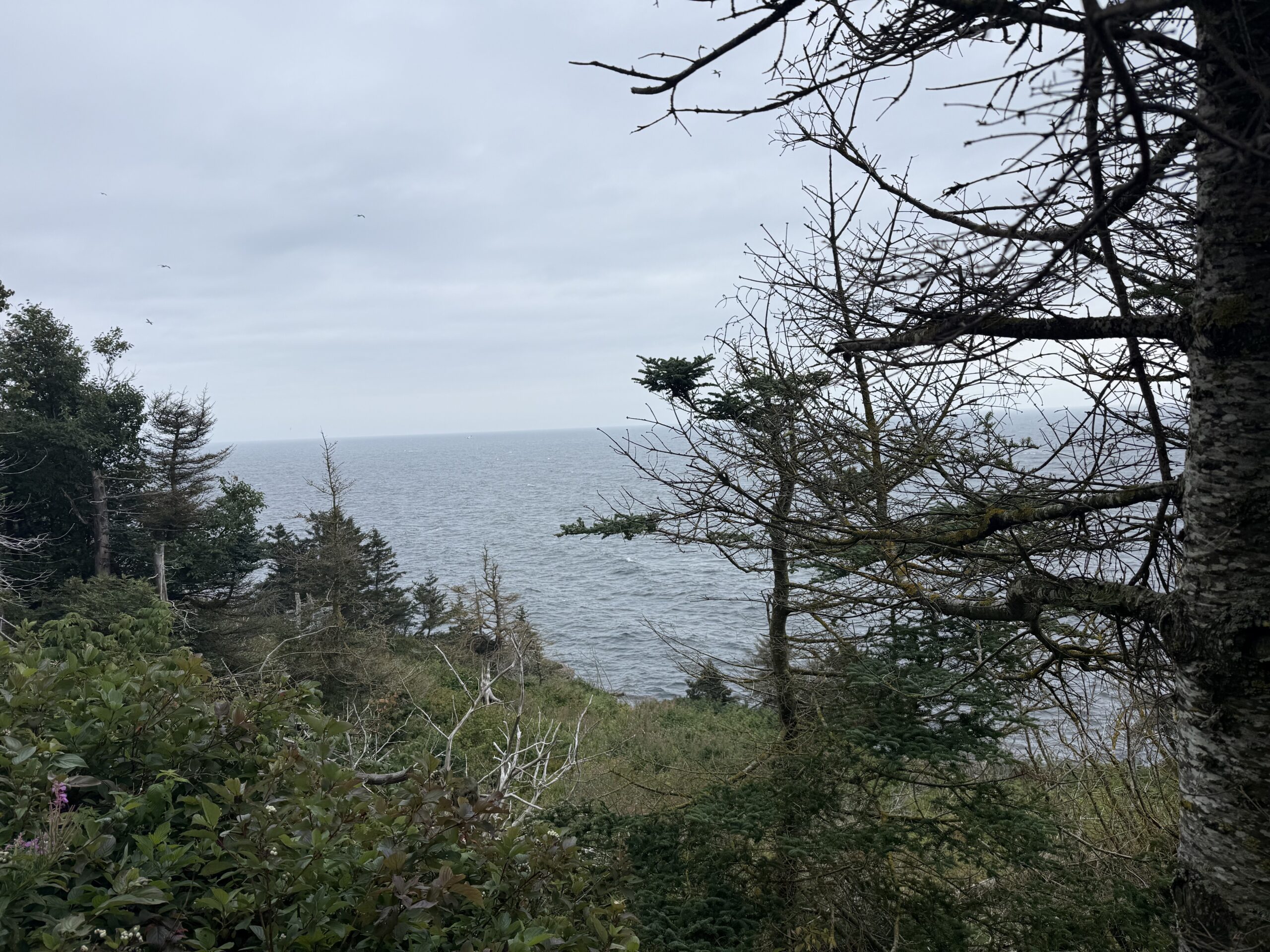 a view of the ocean from a cliff, Percé, Québec, Canada
