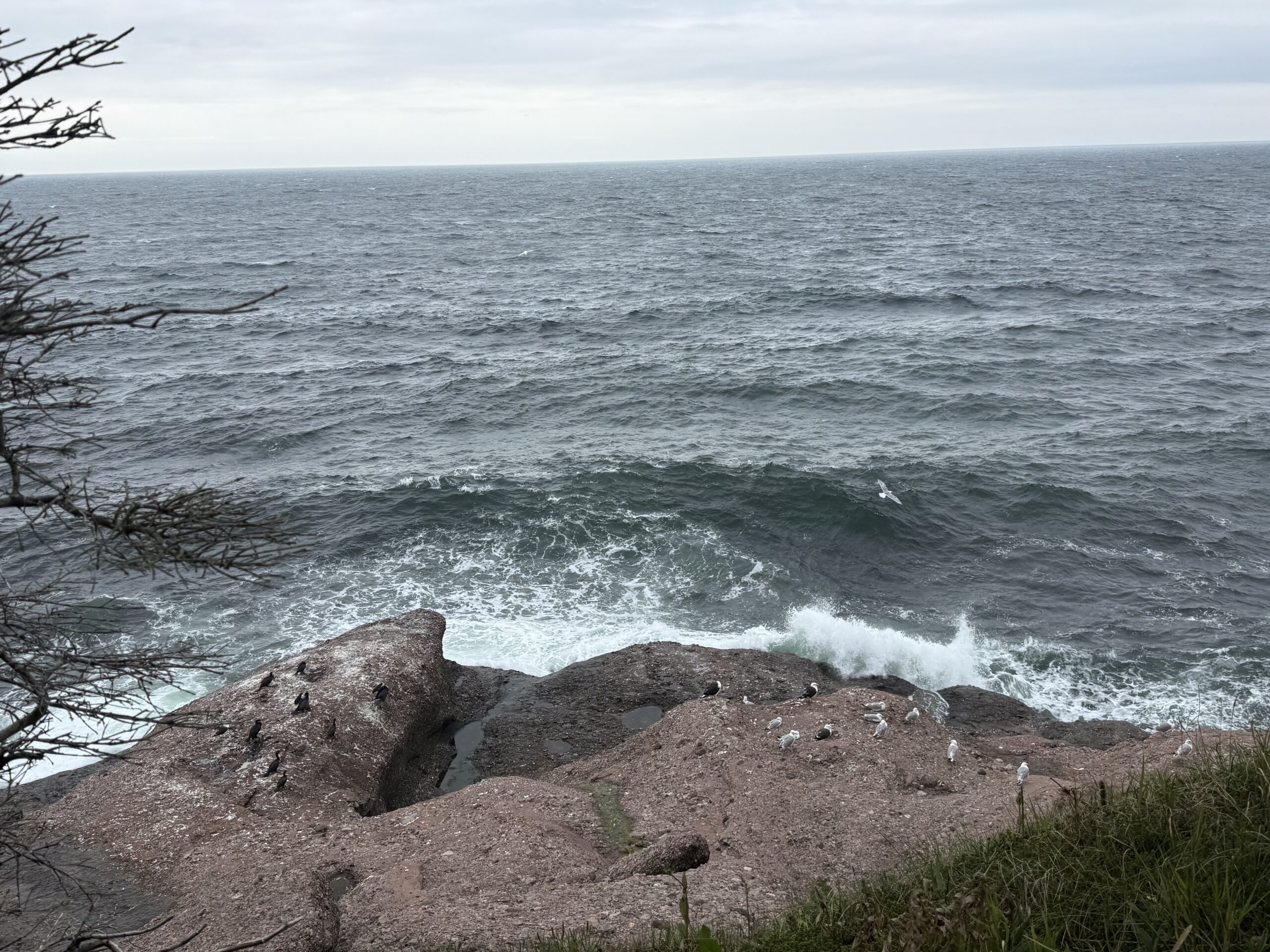 a body of water, Percé, Québec, Canada