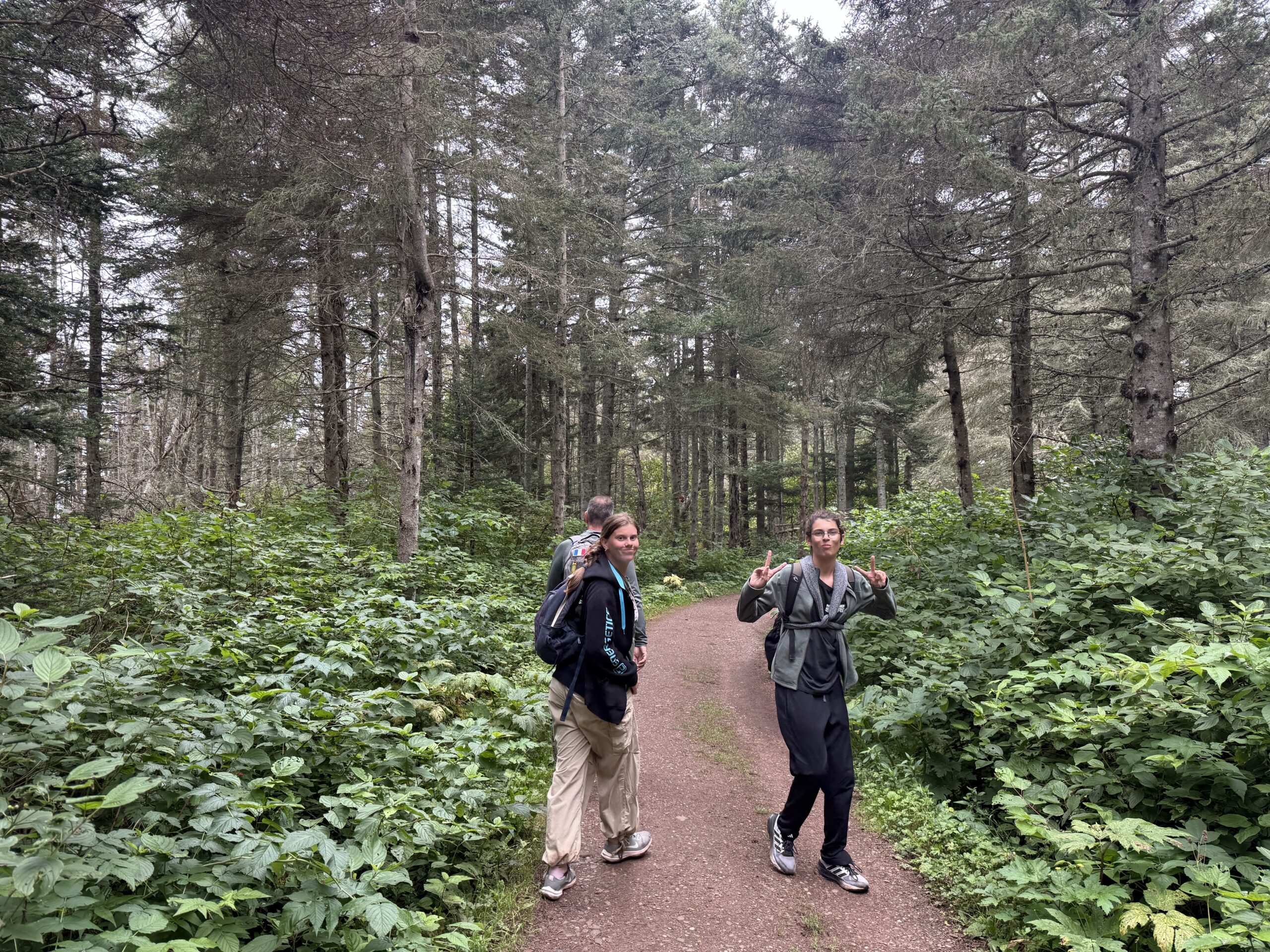 two people walking down a path in the woods, Percé, Québec, Canada