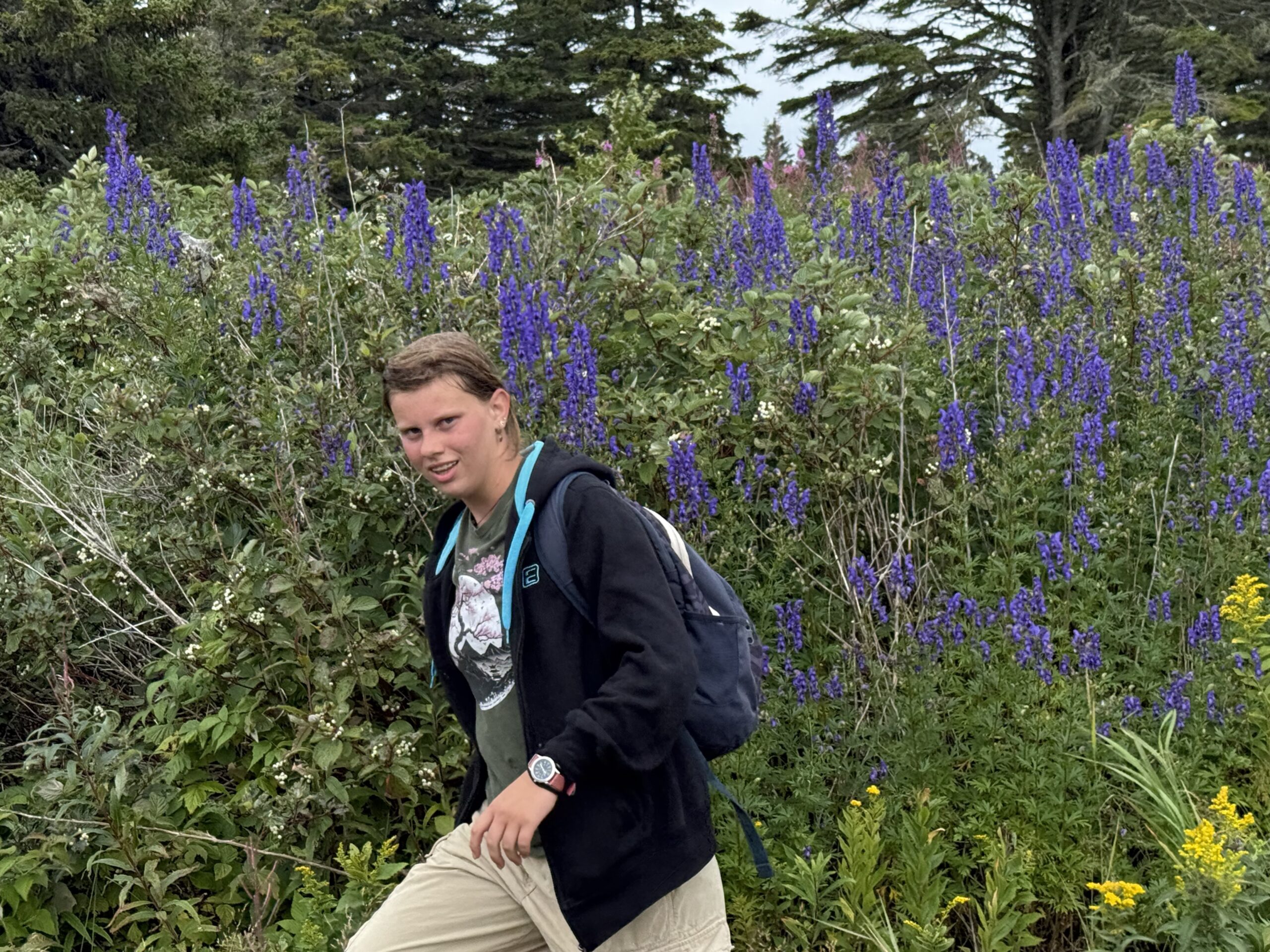 a young boy in a black jacket and khakki pants walks through a field of blue luntus, Percé, Québec, Canada