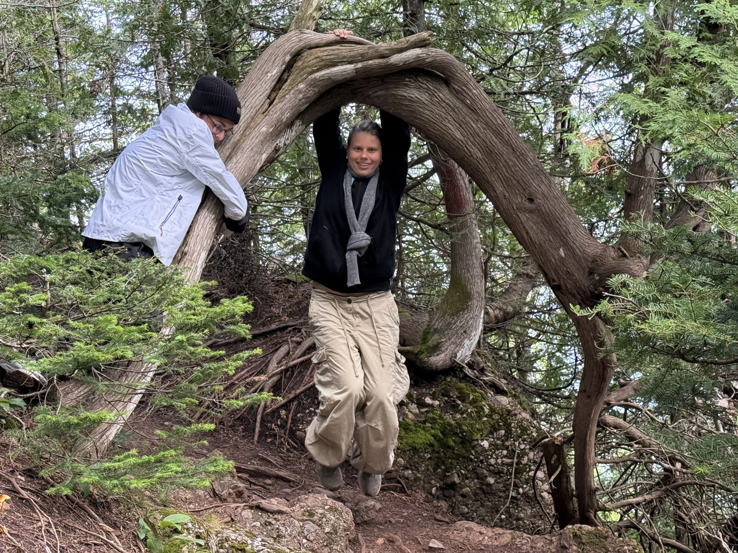 two people climbing a tree, Percé, Québec, Canada