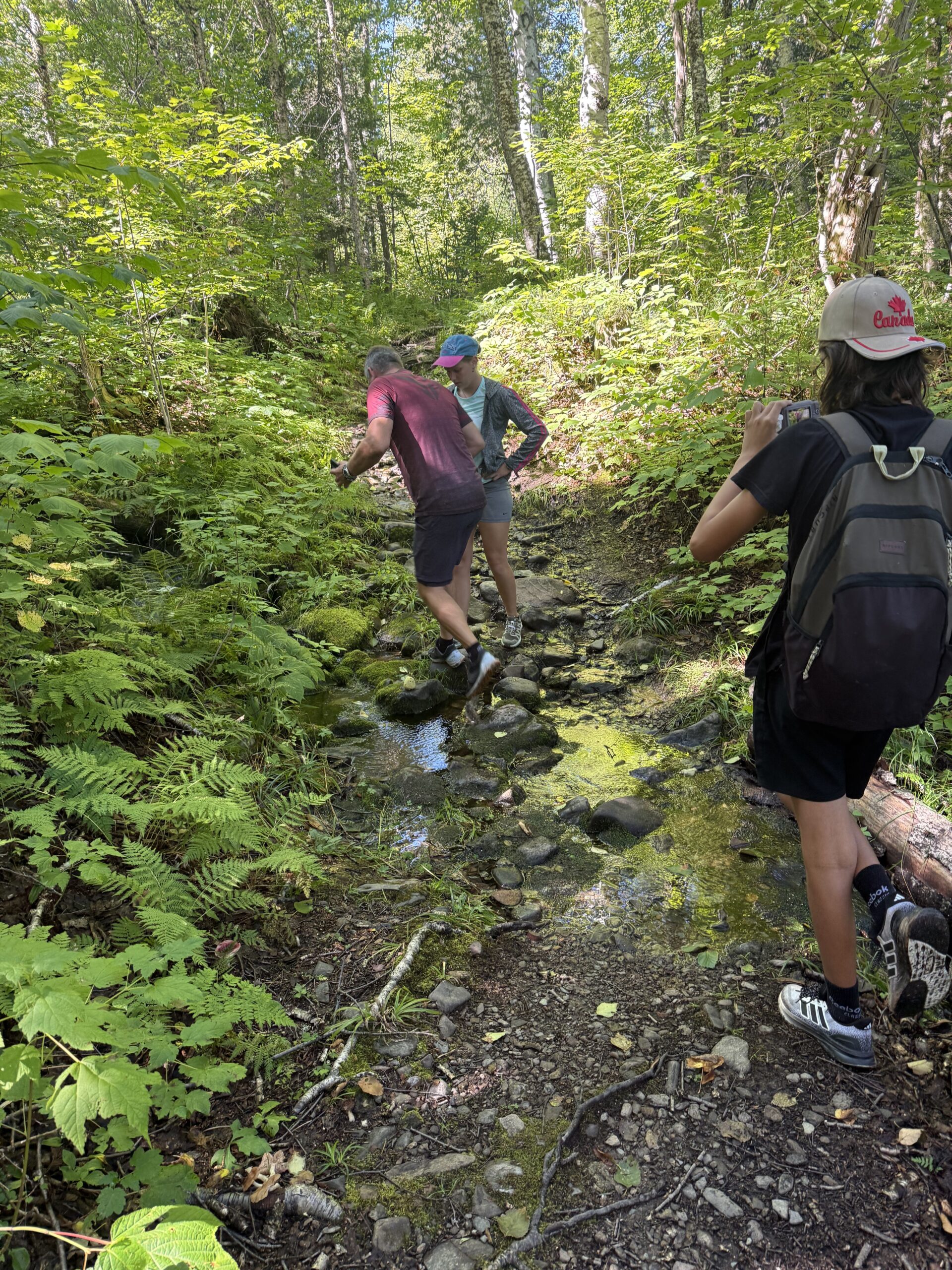 two people hiking through a forest with trees