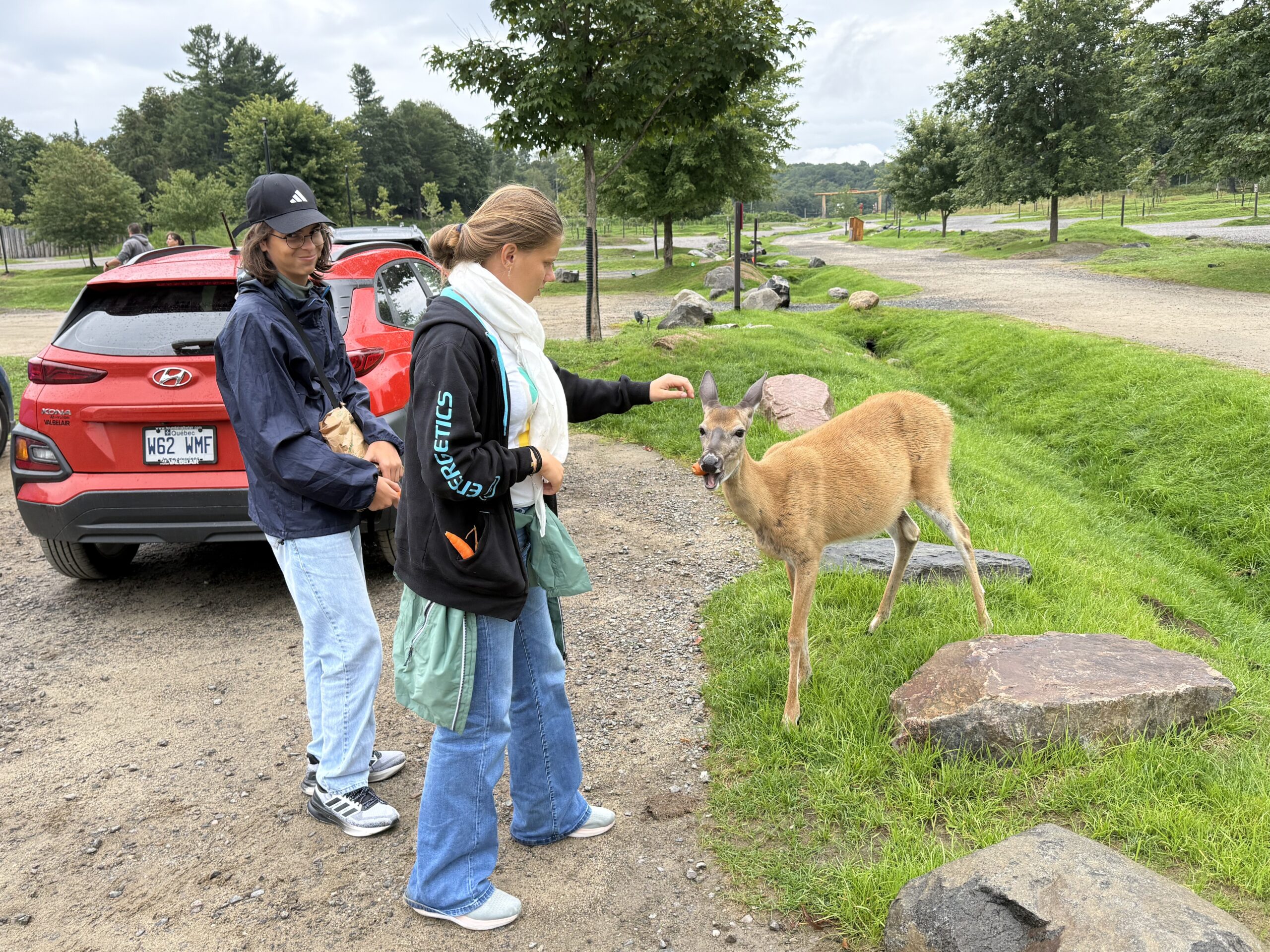 a woman feeding a deer on a dirt road, Papineauville, Québec, Canada
