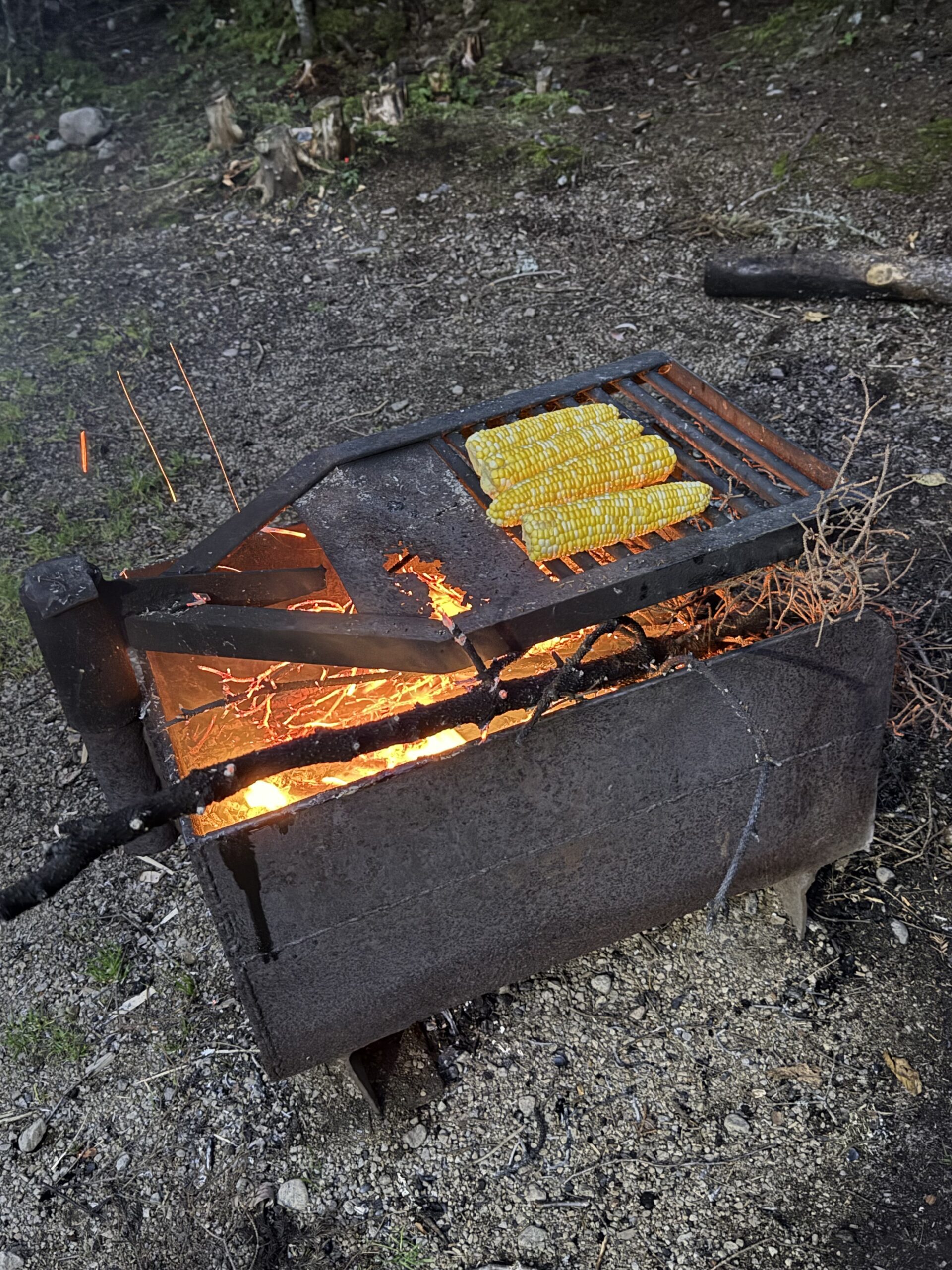 un poêle en métal avec un feu allumé, Lac-Jacques-Cartier, Québec, Canada