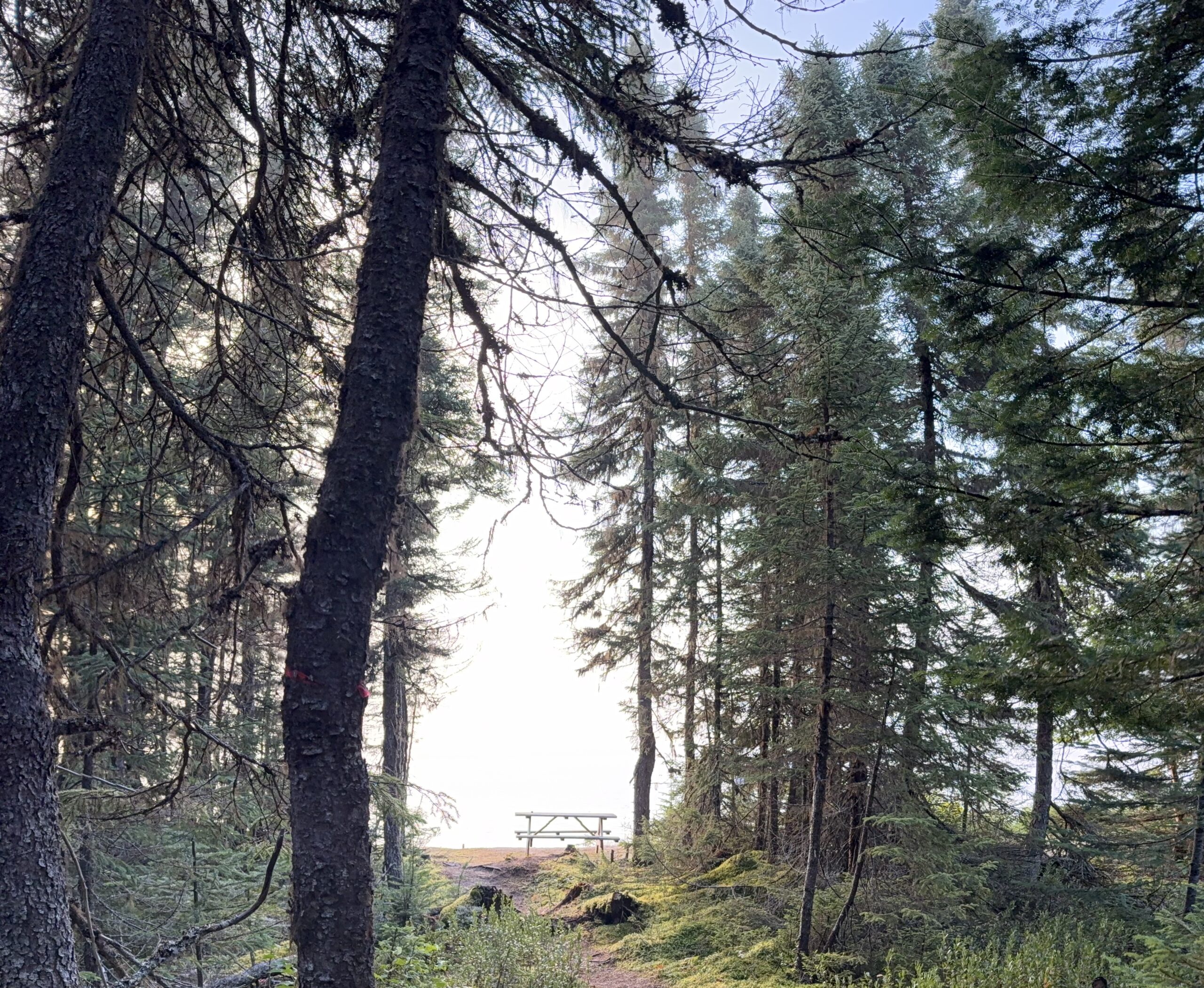 un sentier à travers une forêt avec un banc, Lac-Jacques-Cartier, Québec, Canada