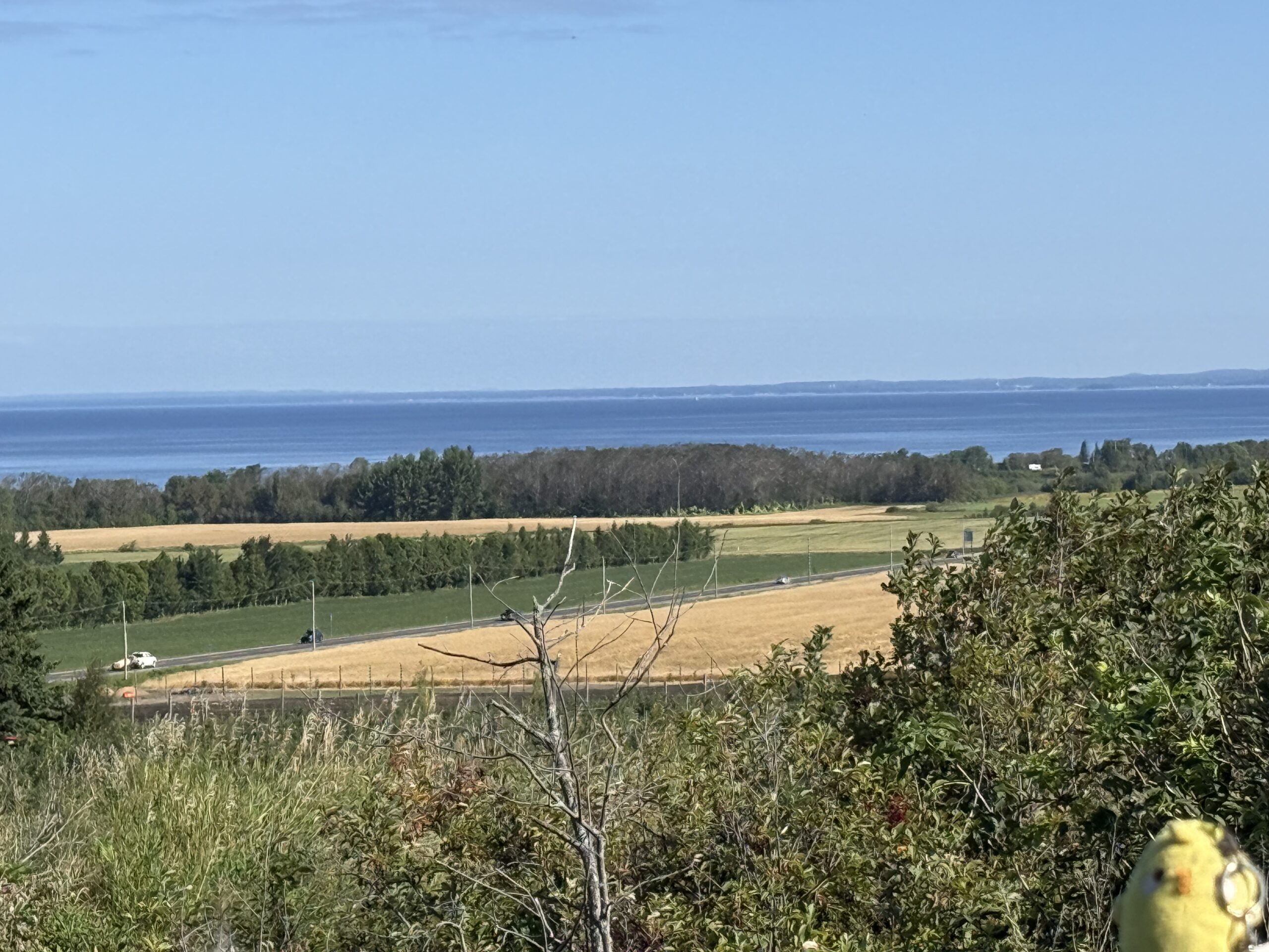 une vue d'un champ et d'un lac, Métabetchouan–Lac-à-la-Croix, Québec, Canada