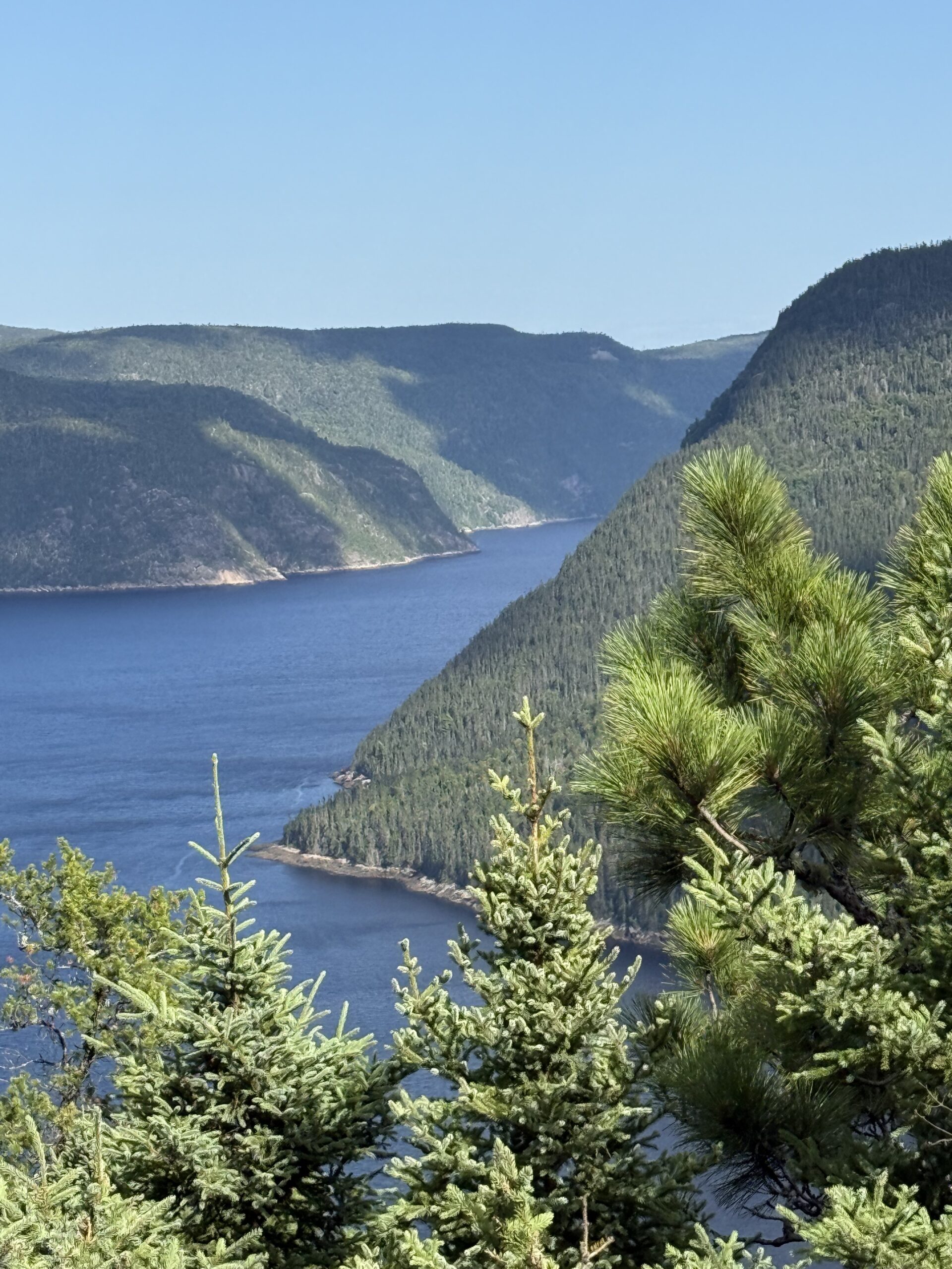 Une vue d'un lac et des montagnes depuis une colline, Rivière-Éternité, Québec, Canada