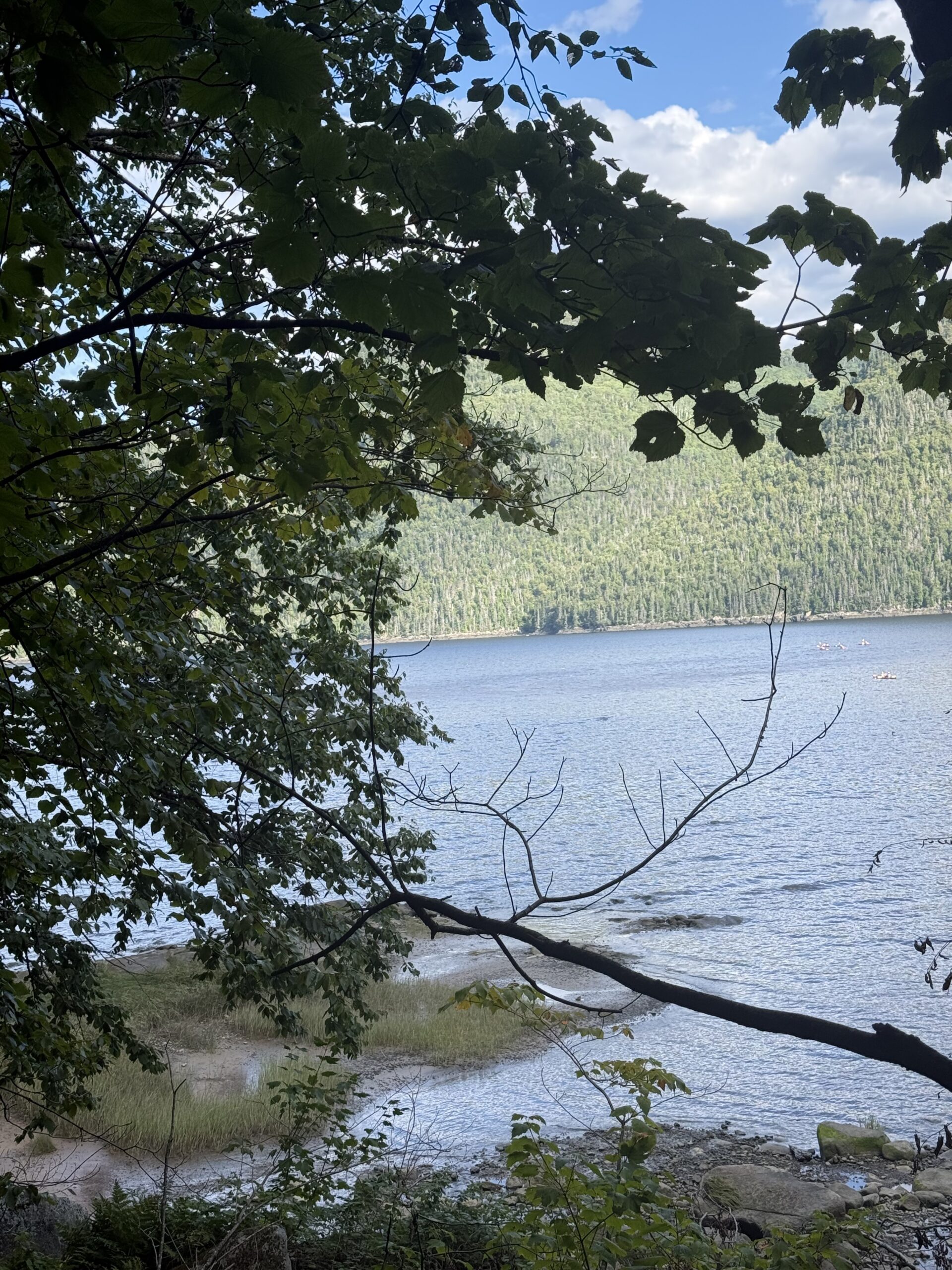Un plan d'eau entouré d'arbres et un bateau, Rivière-Éternité, Québec, Canada