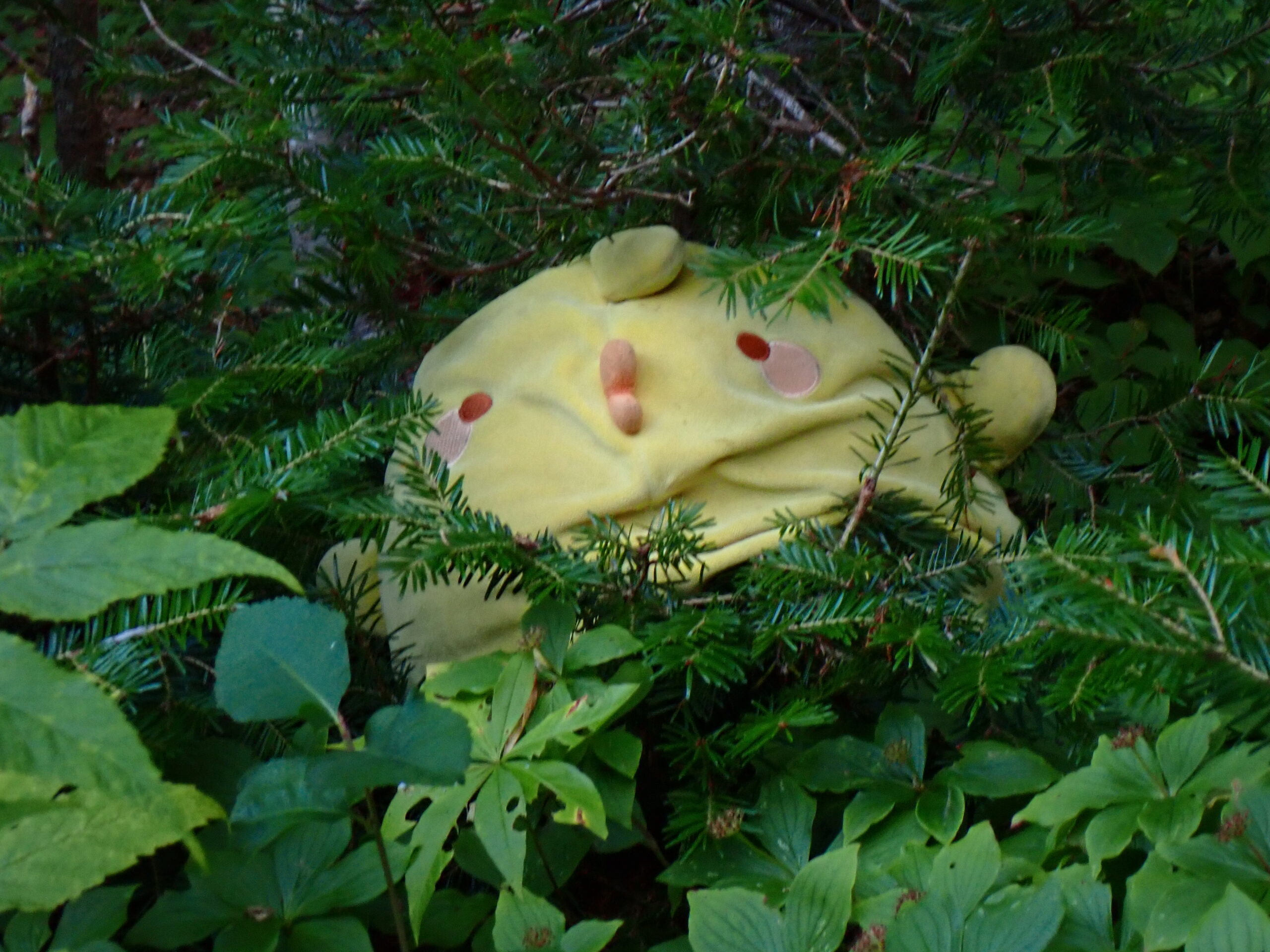 une peluche dans les buissons