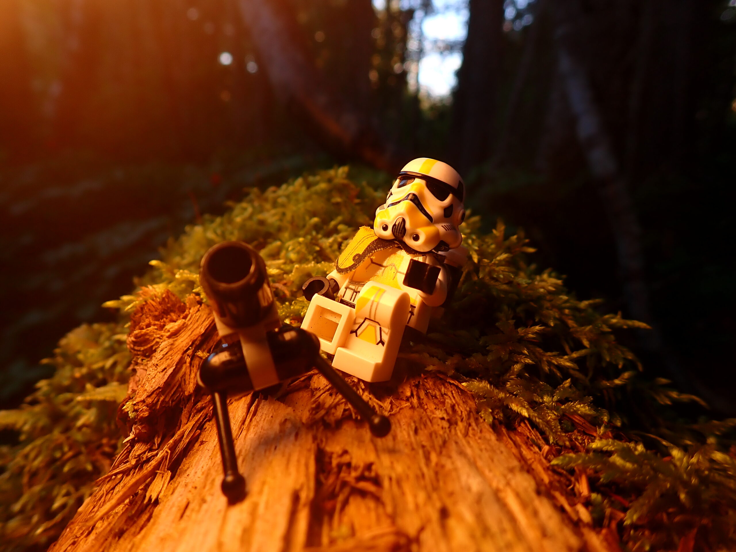une figurine Lego assise sur une bûche dans les bois