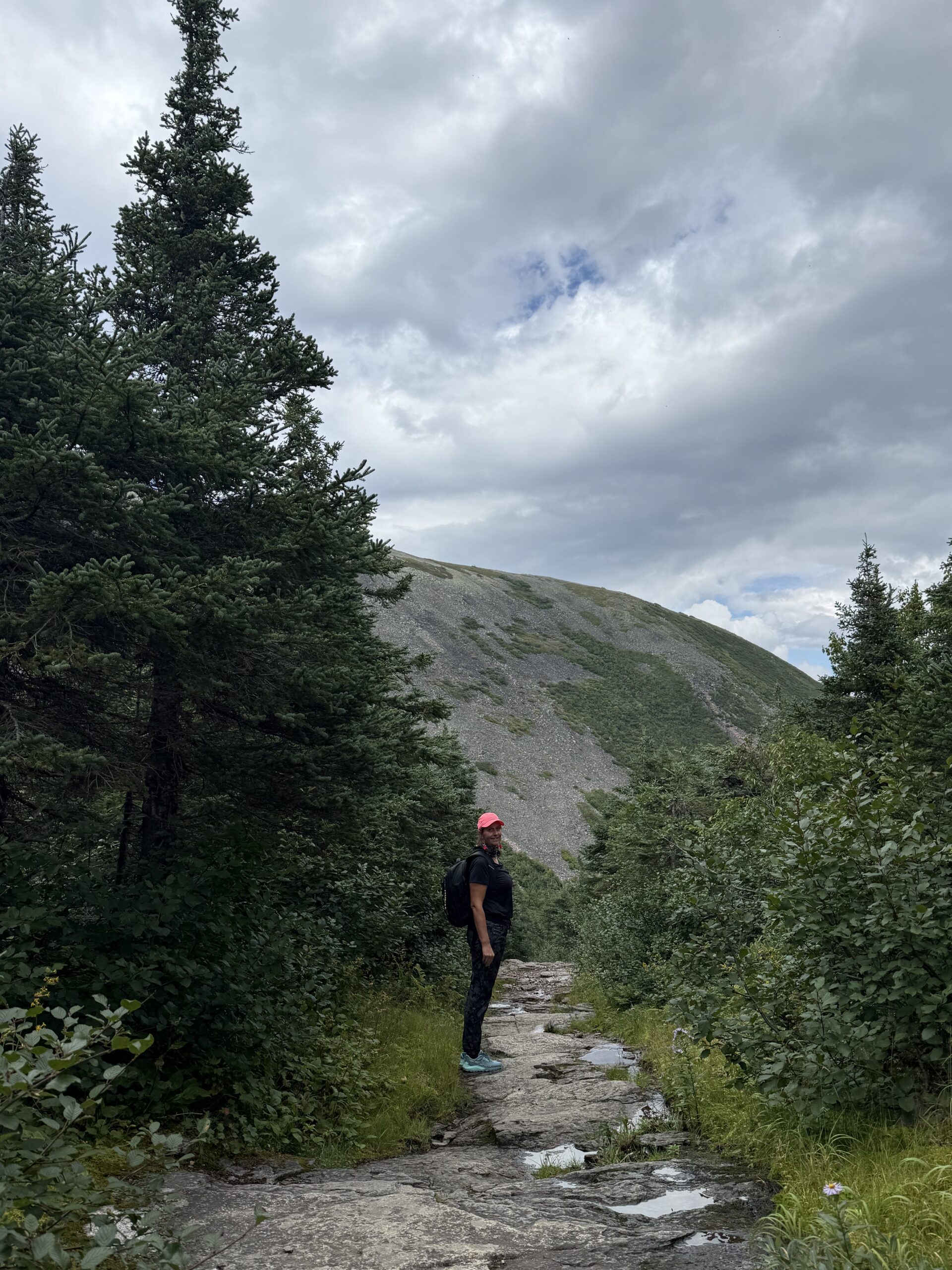 une personne marchant sur un chemin en forêt, Mont-Albert, Québec, Canada