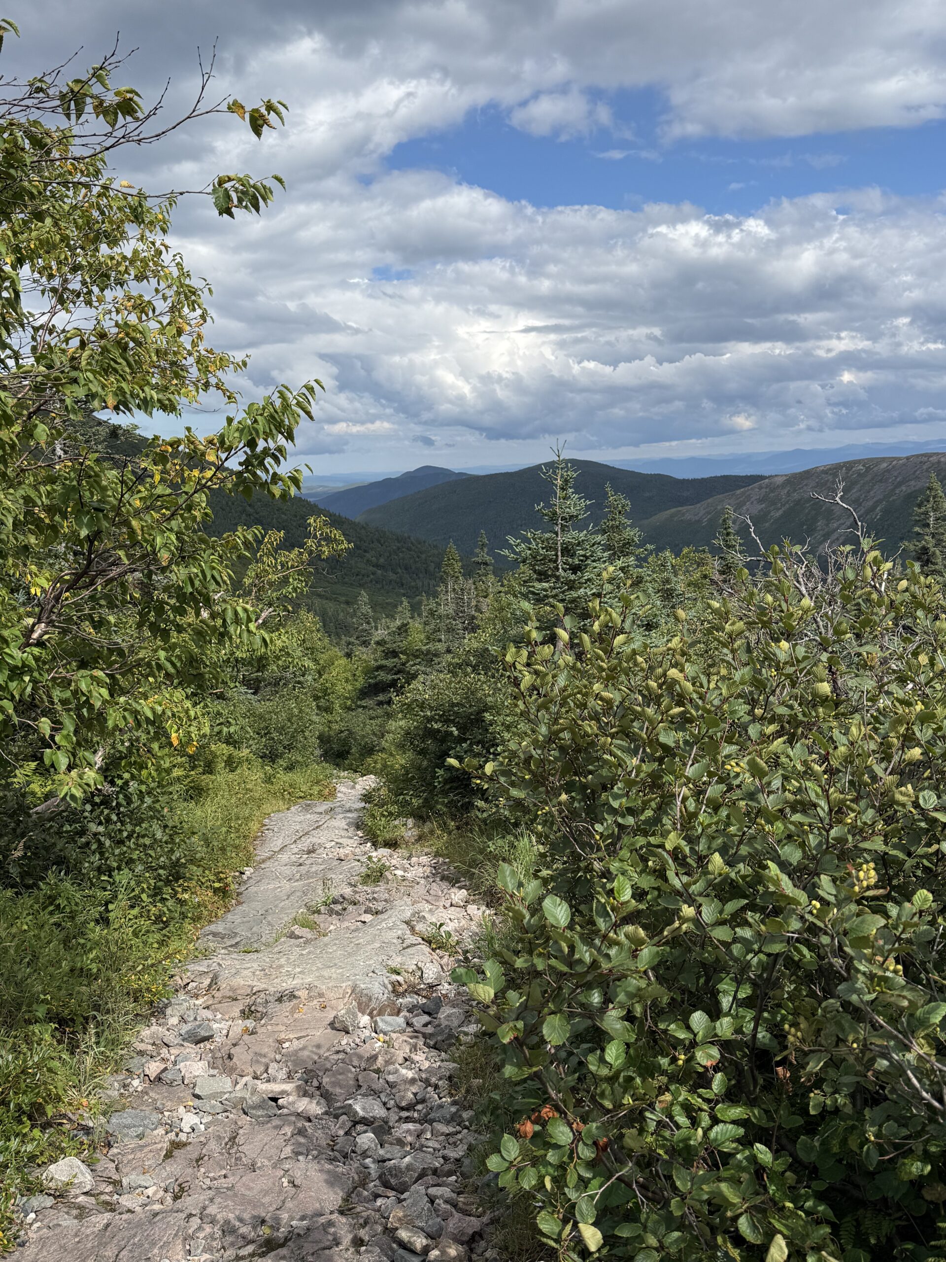 un sentier de terre dans les montagnes sous un ciel nuageux, Mont-Albert, Québec, Canada