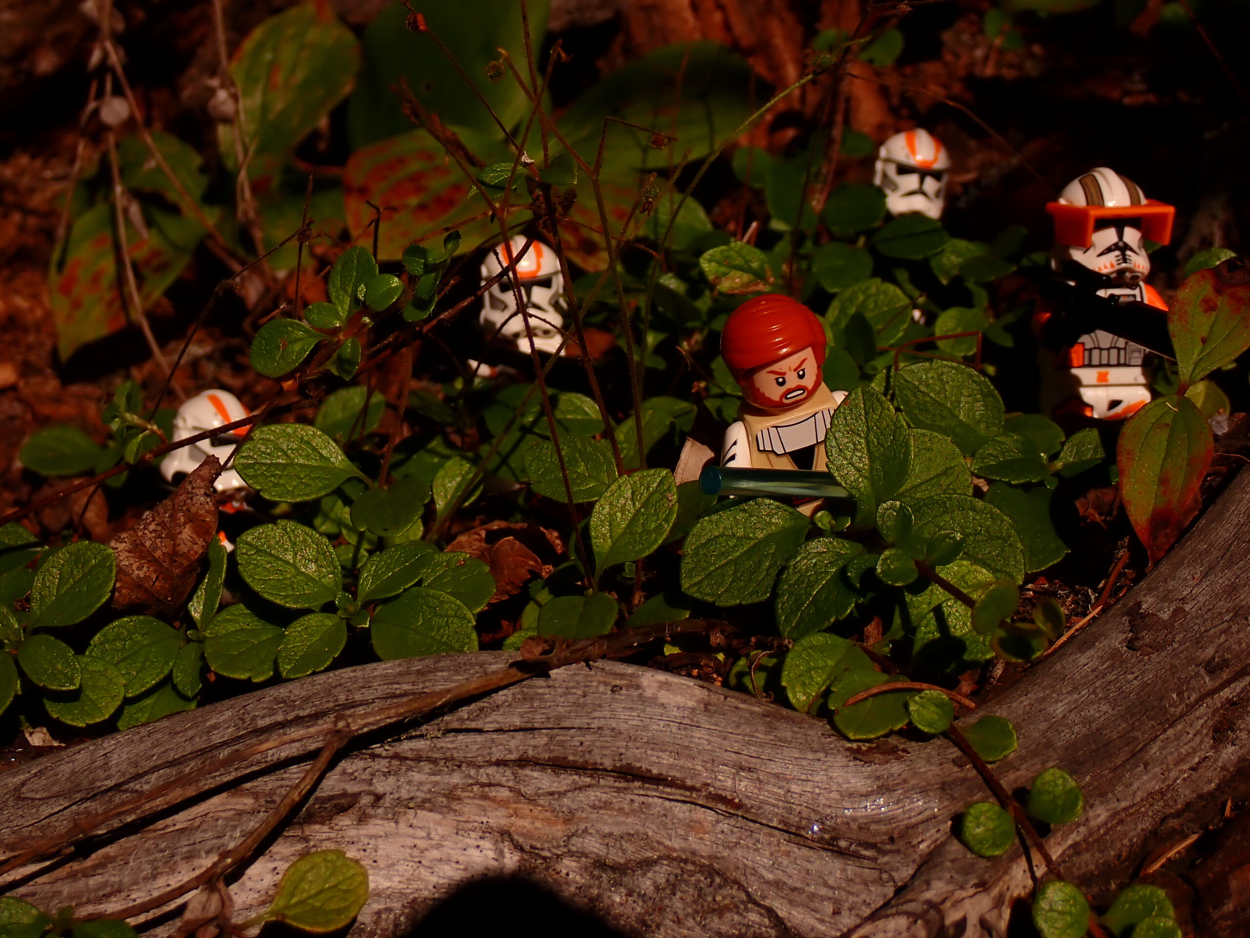 un groupe de petites figues posées sur une bûche