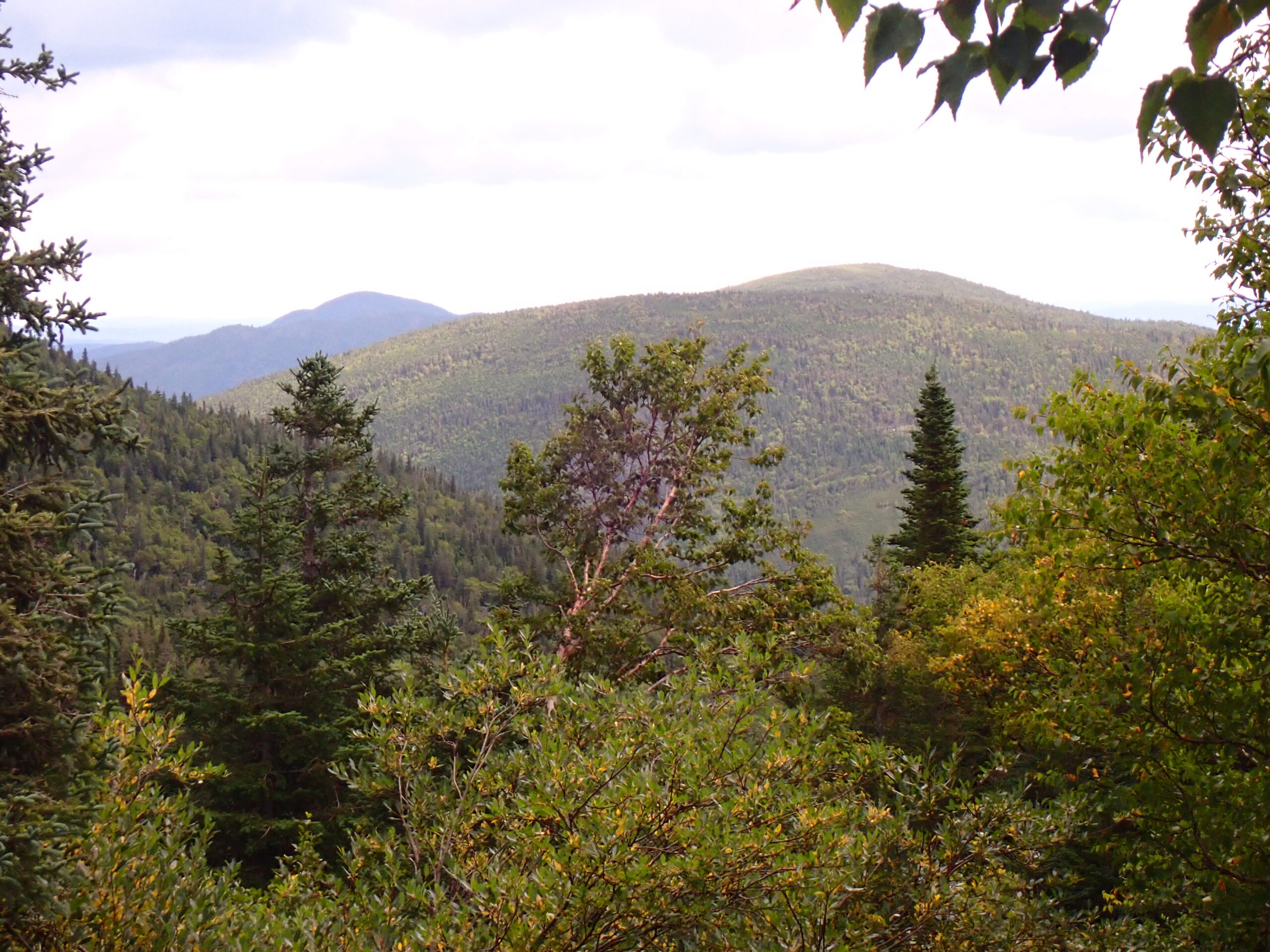 une vue sur une montagne