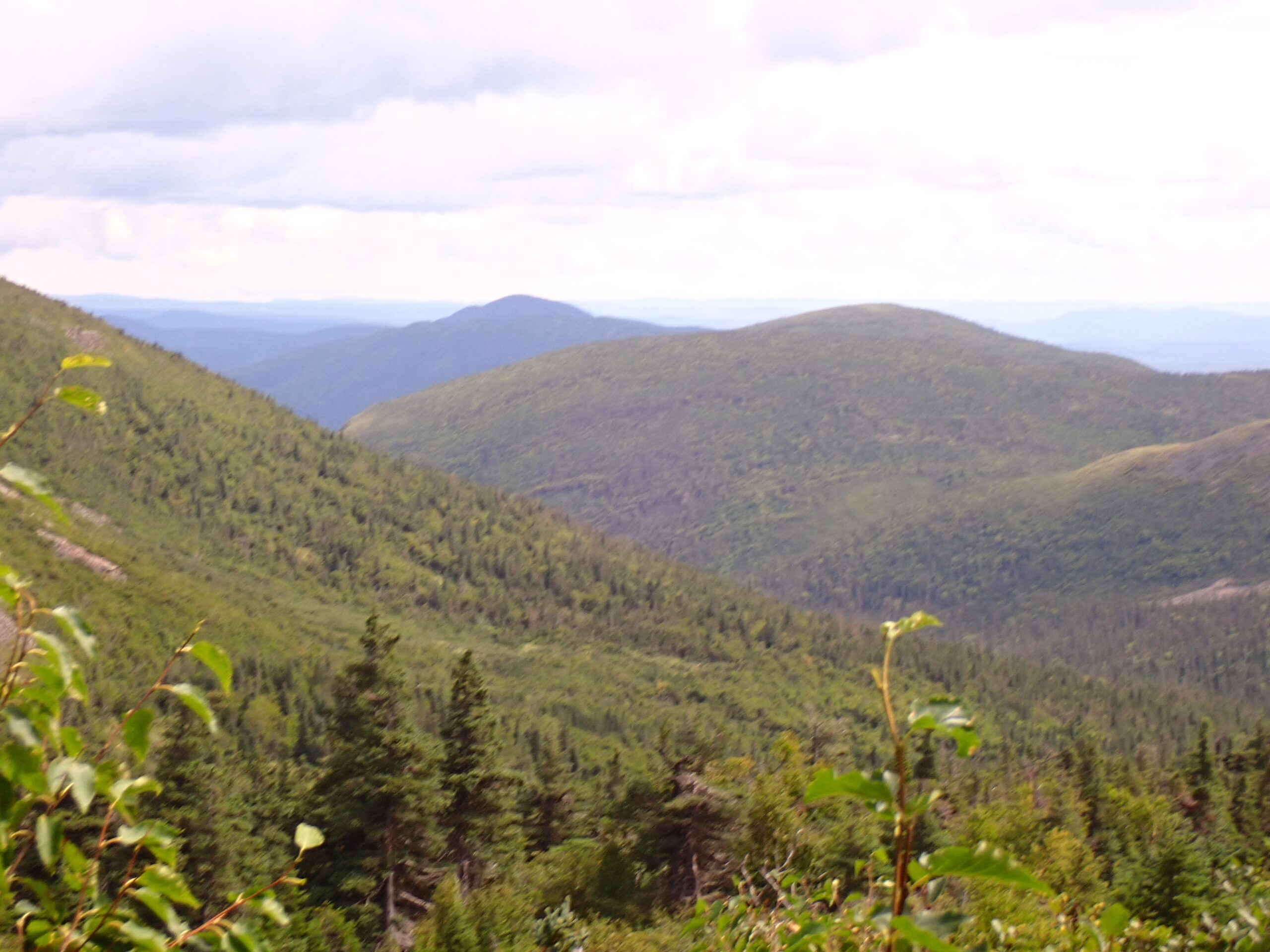 une vue d'une chaîne de montagnes avec des arbres et des montagnes