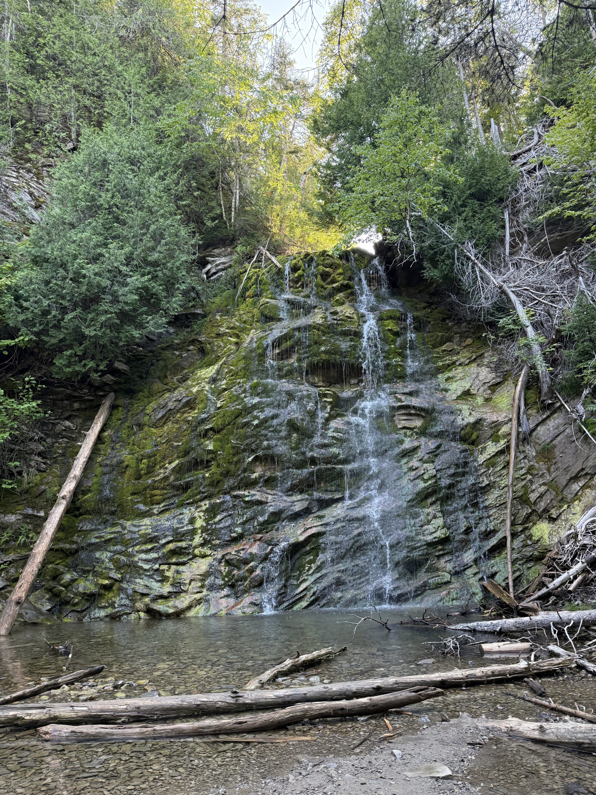 a waterfall in the woods with trees and rocks, Gaspé, Québec, Canada