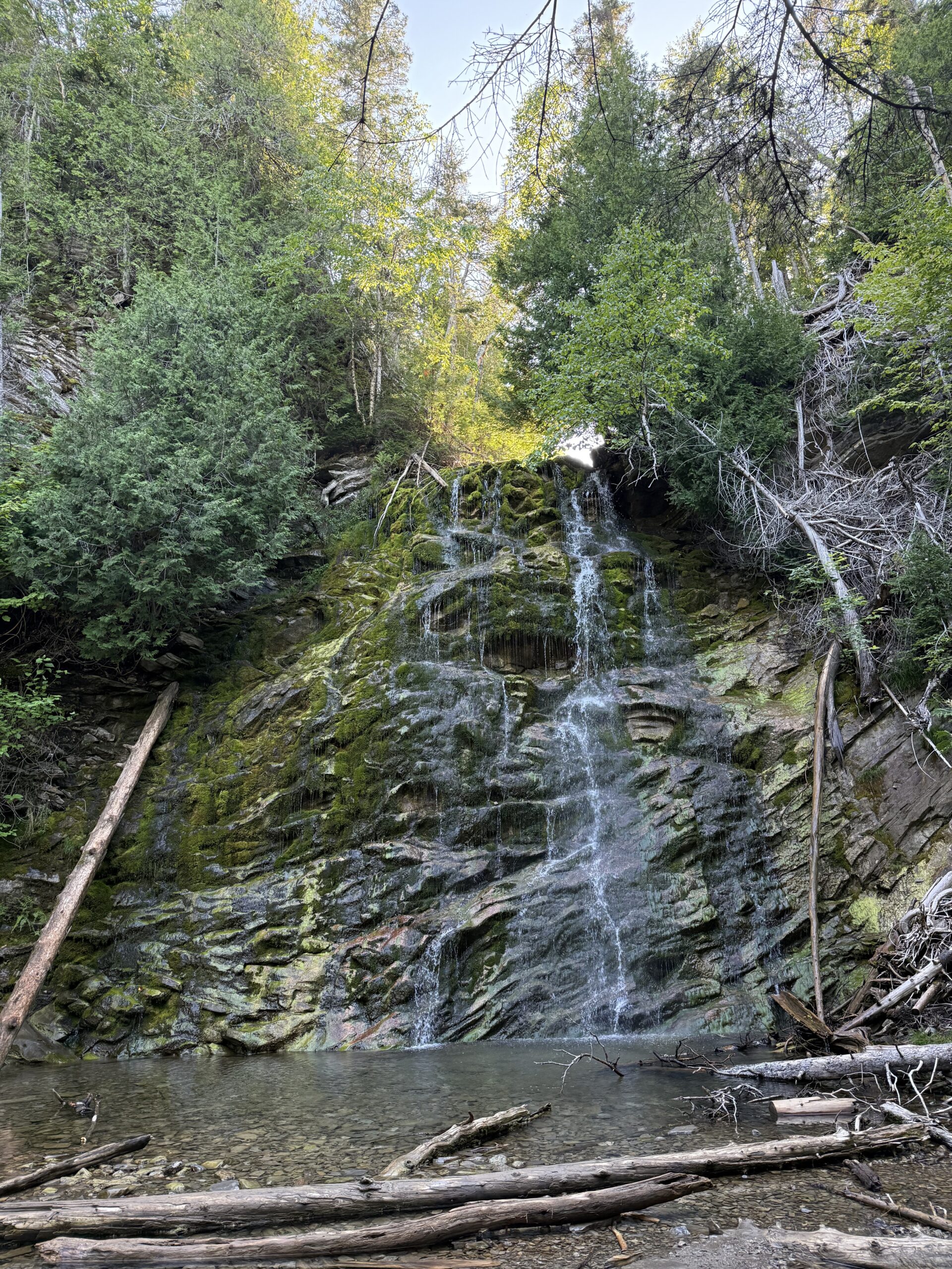 a waterfall in the woods with trees and rocks, Gaspé, Québec, Canada