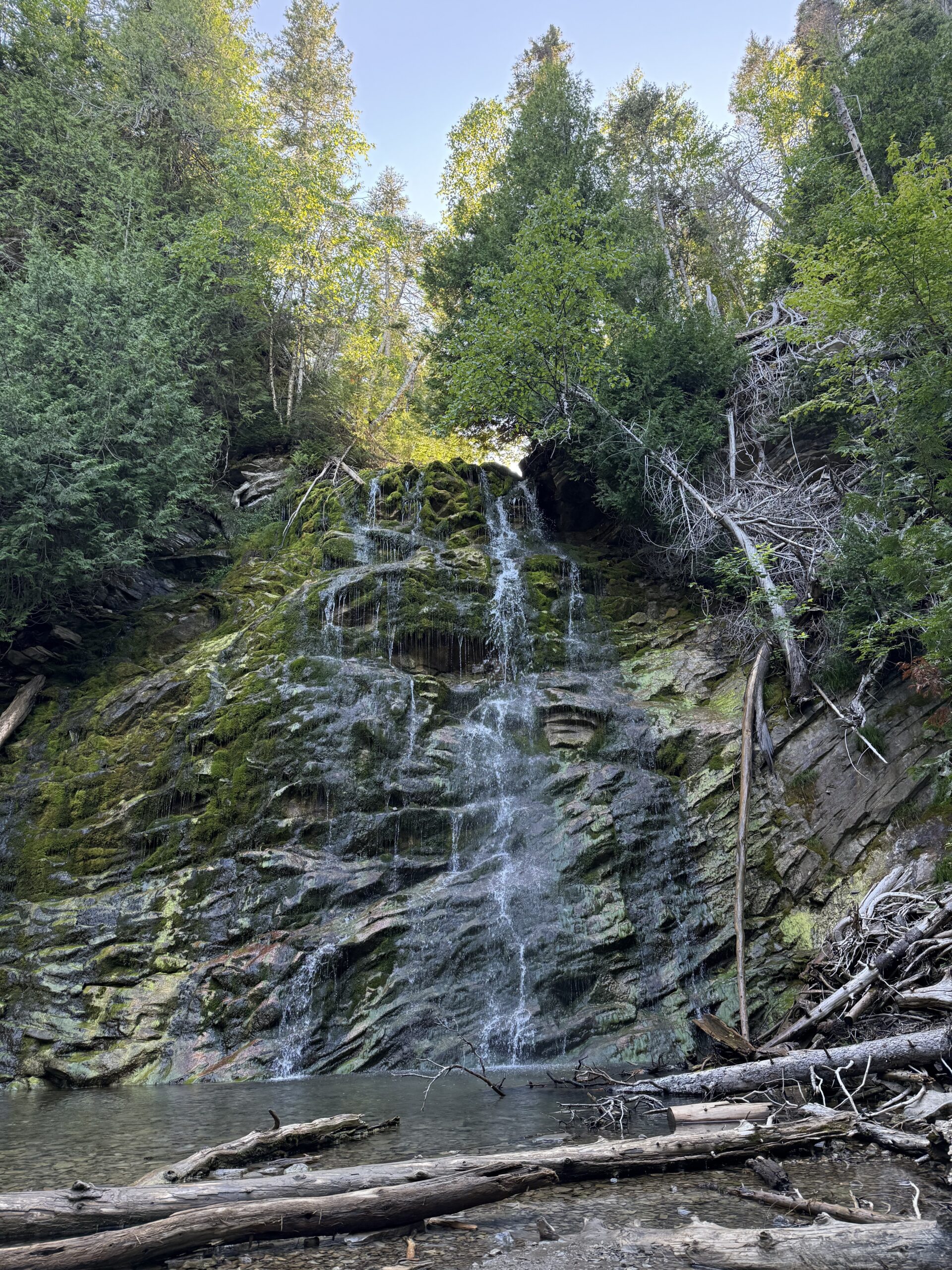a waterfall in the woods with trees and rocks, Gaspé, Québec, Canada