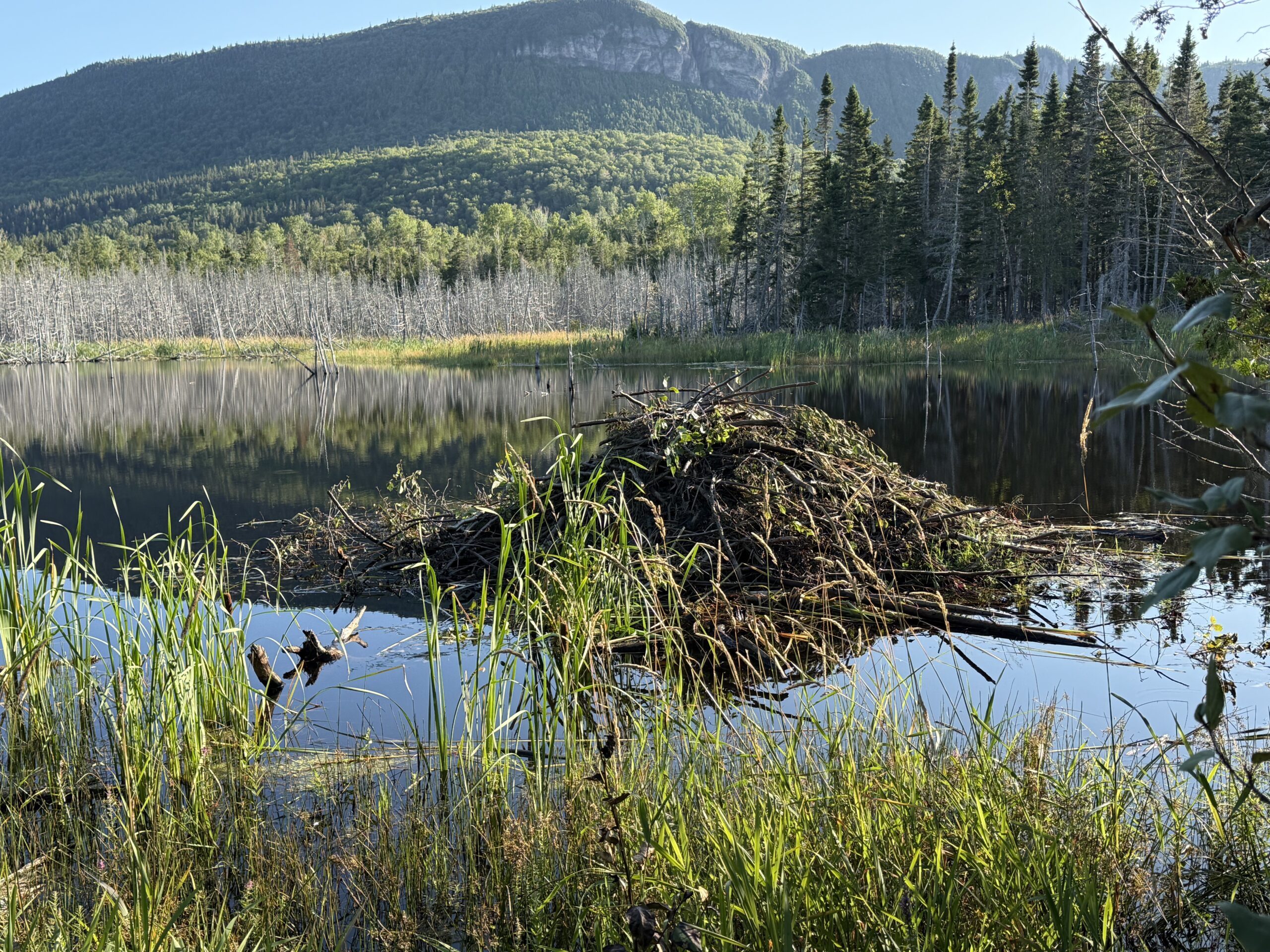 a lake with a mountain in the background, Gaspé, Québec, Canada