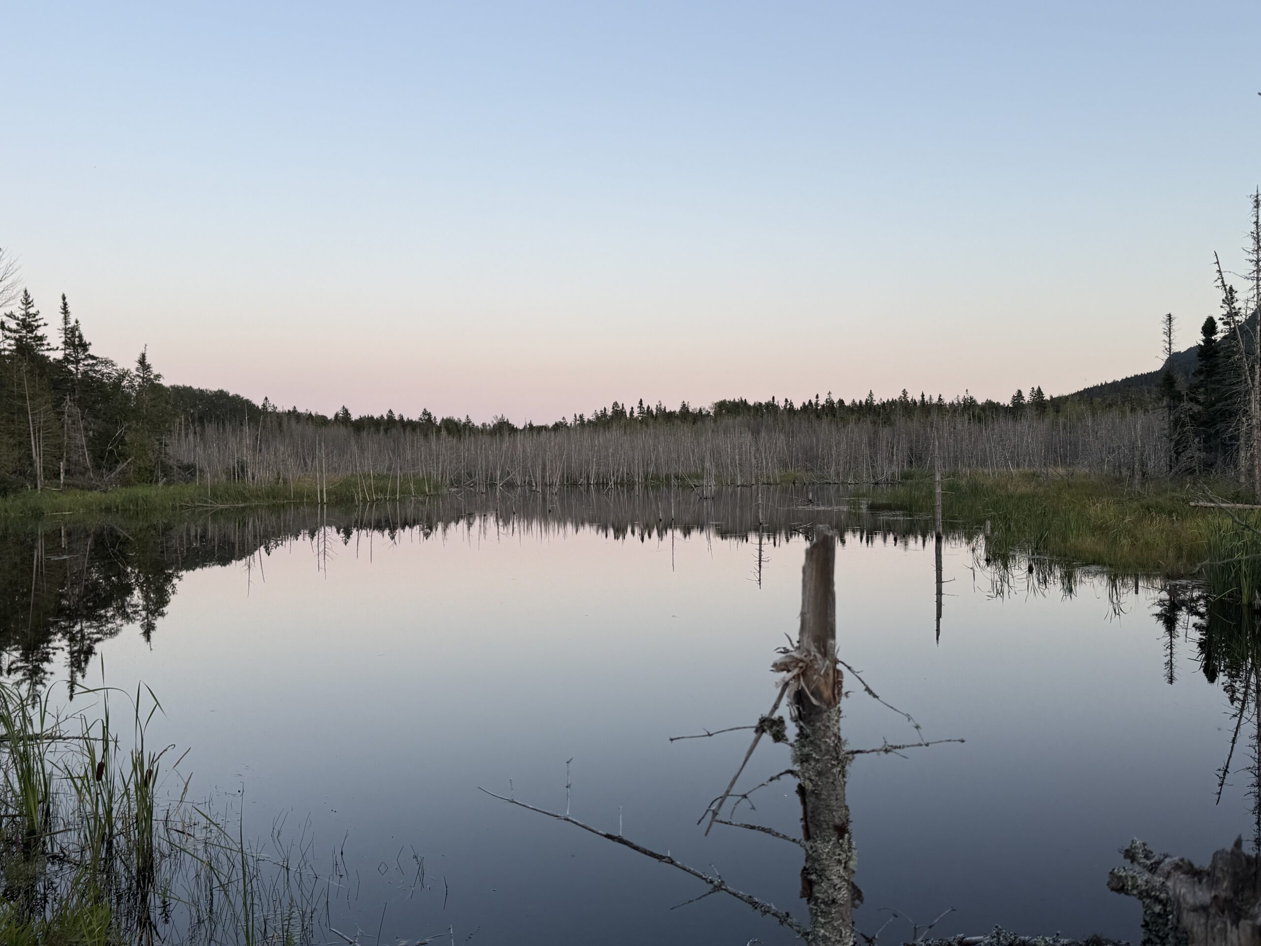 a lake with trees and water in the background, Gaspé, Québec, Canada
