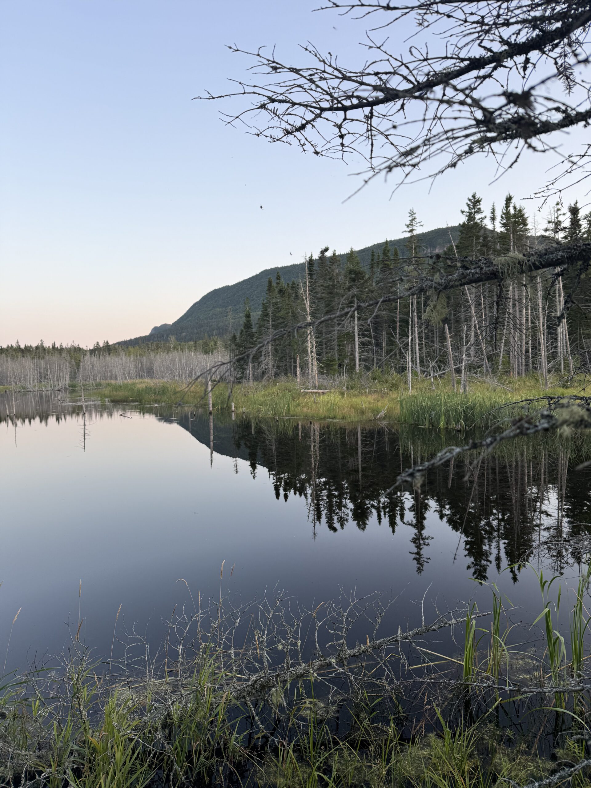 a lake surrounded by trees, Gaspé, Québec, Canada