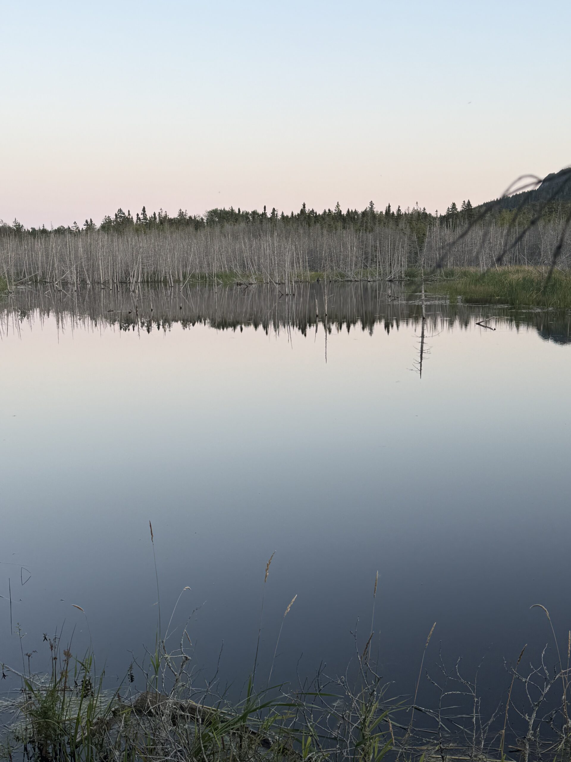 a body of water, Gaspé, Québec, Canada