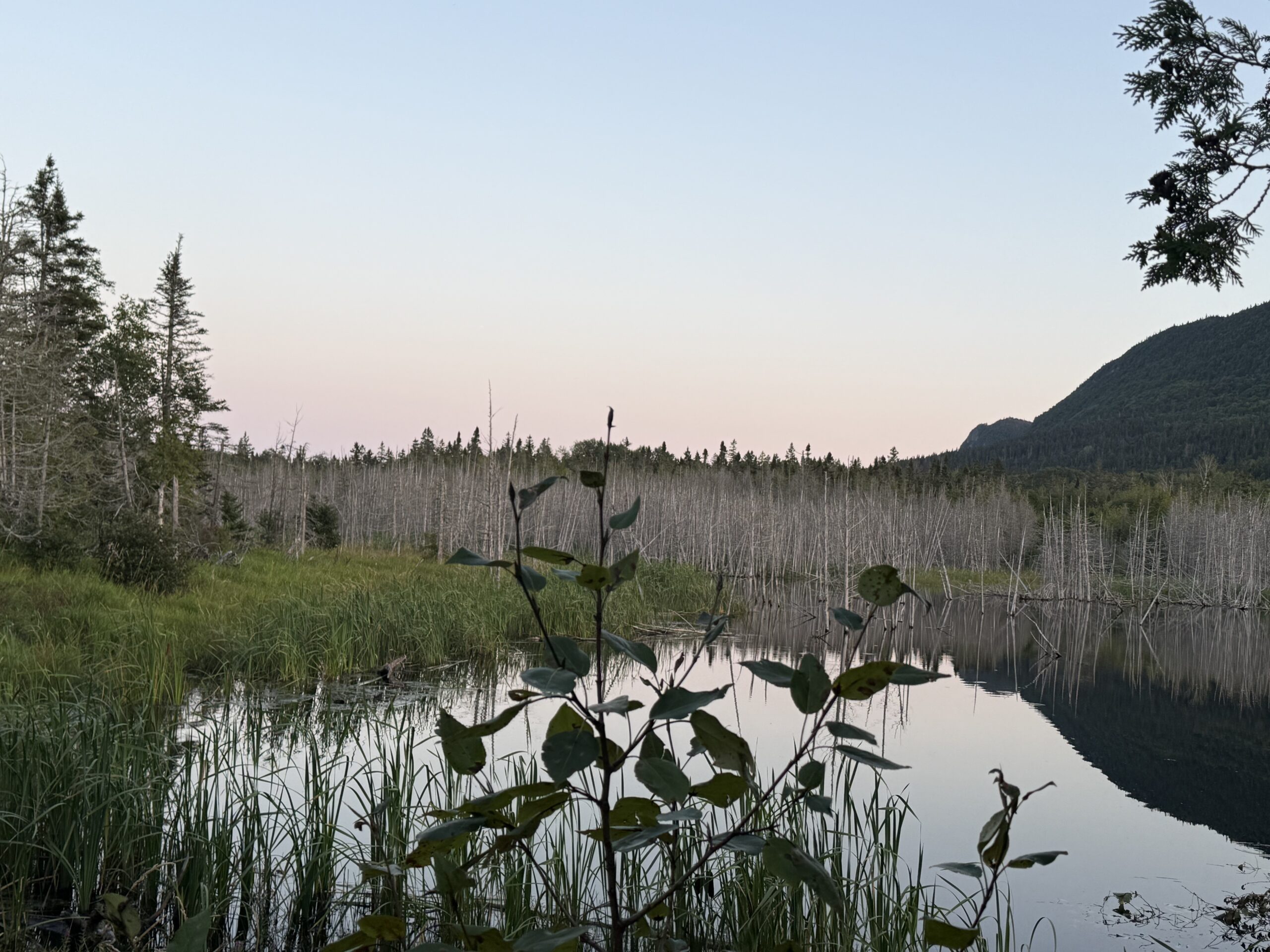a lake surrounded by trees and a mountain, Gaspé, Québec, Canada