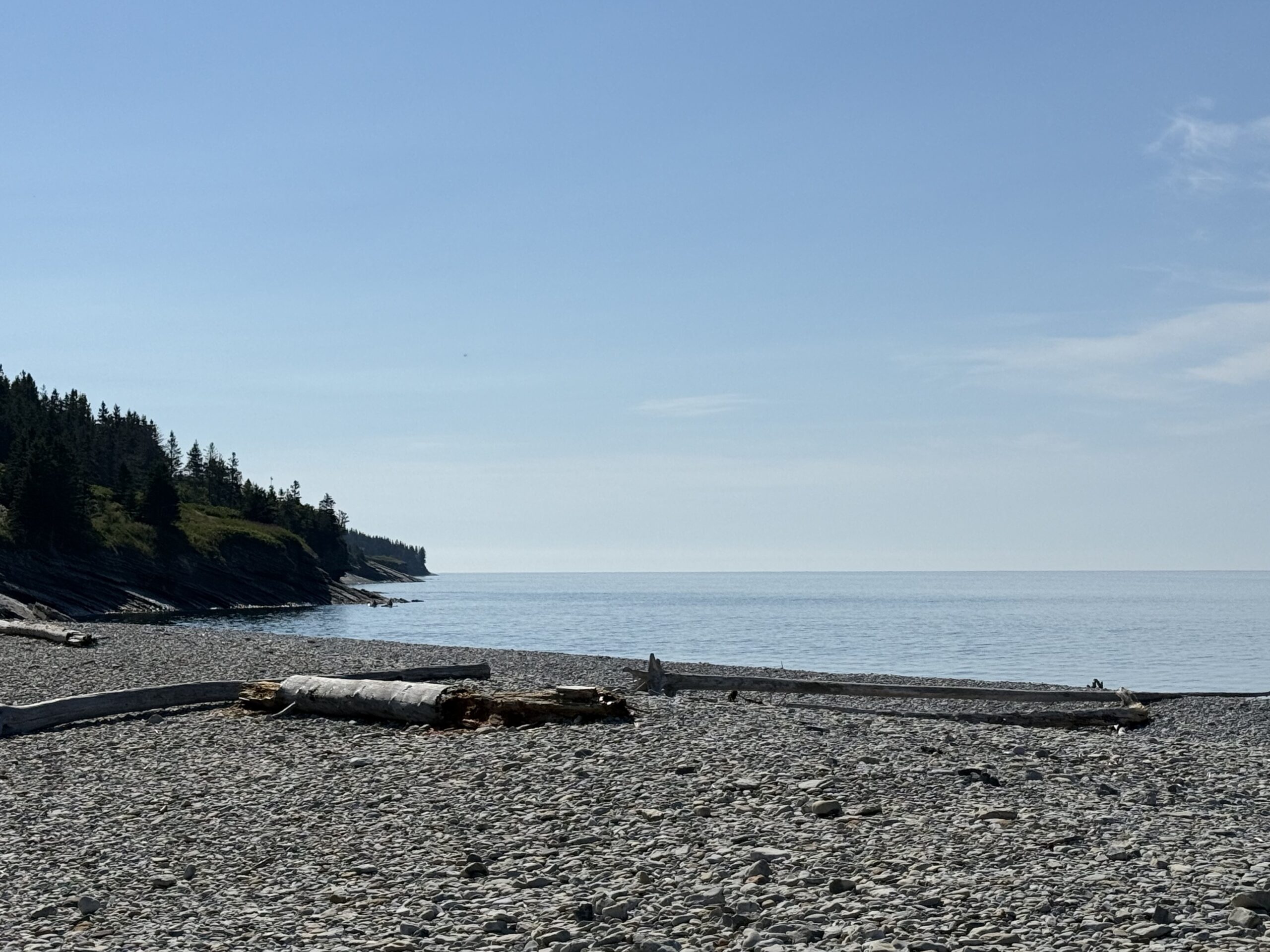 une plage rocheuse avec quelques troncs sur le rivage, Gaspé, Québec, Canada